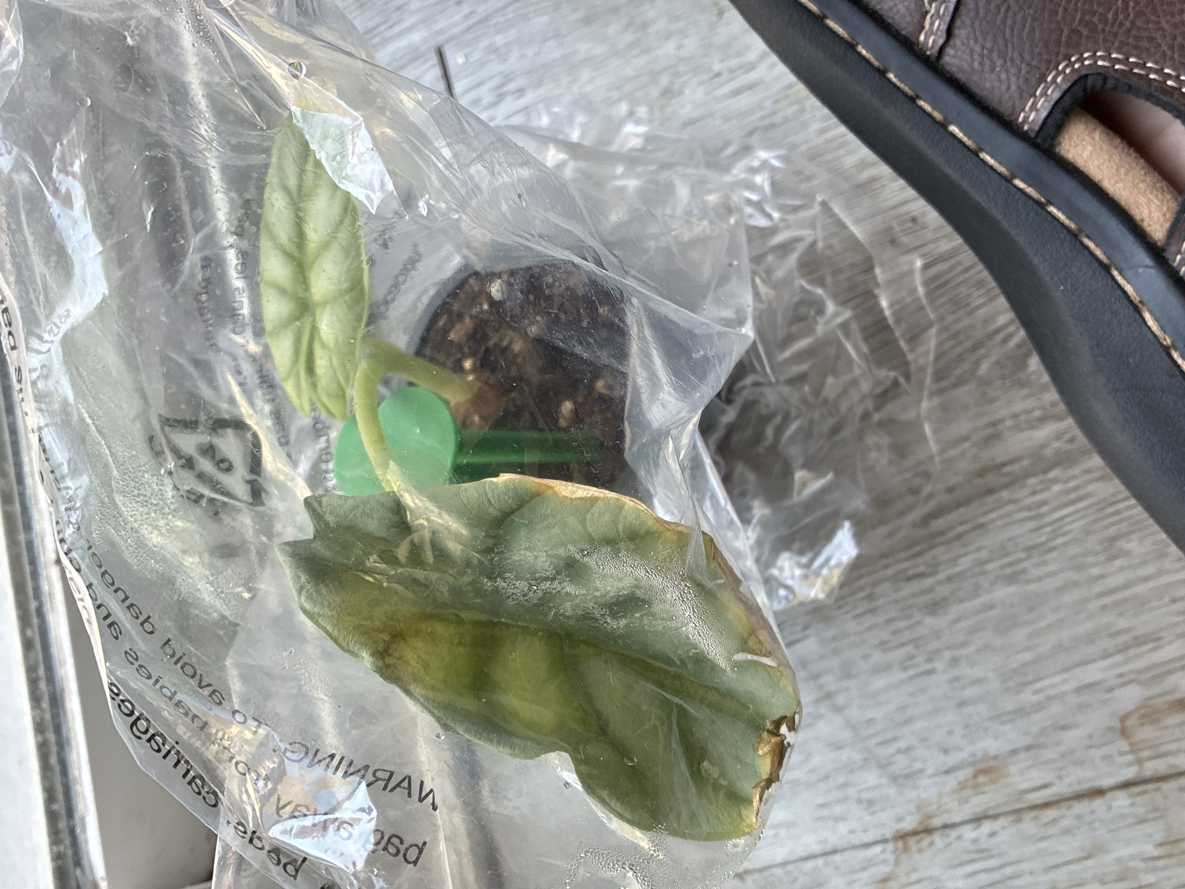 Photo from the post