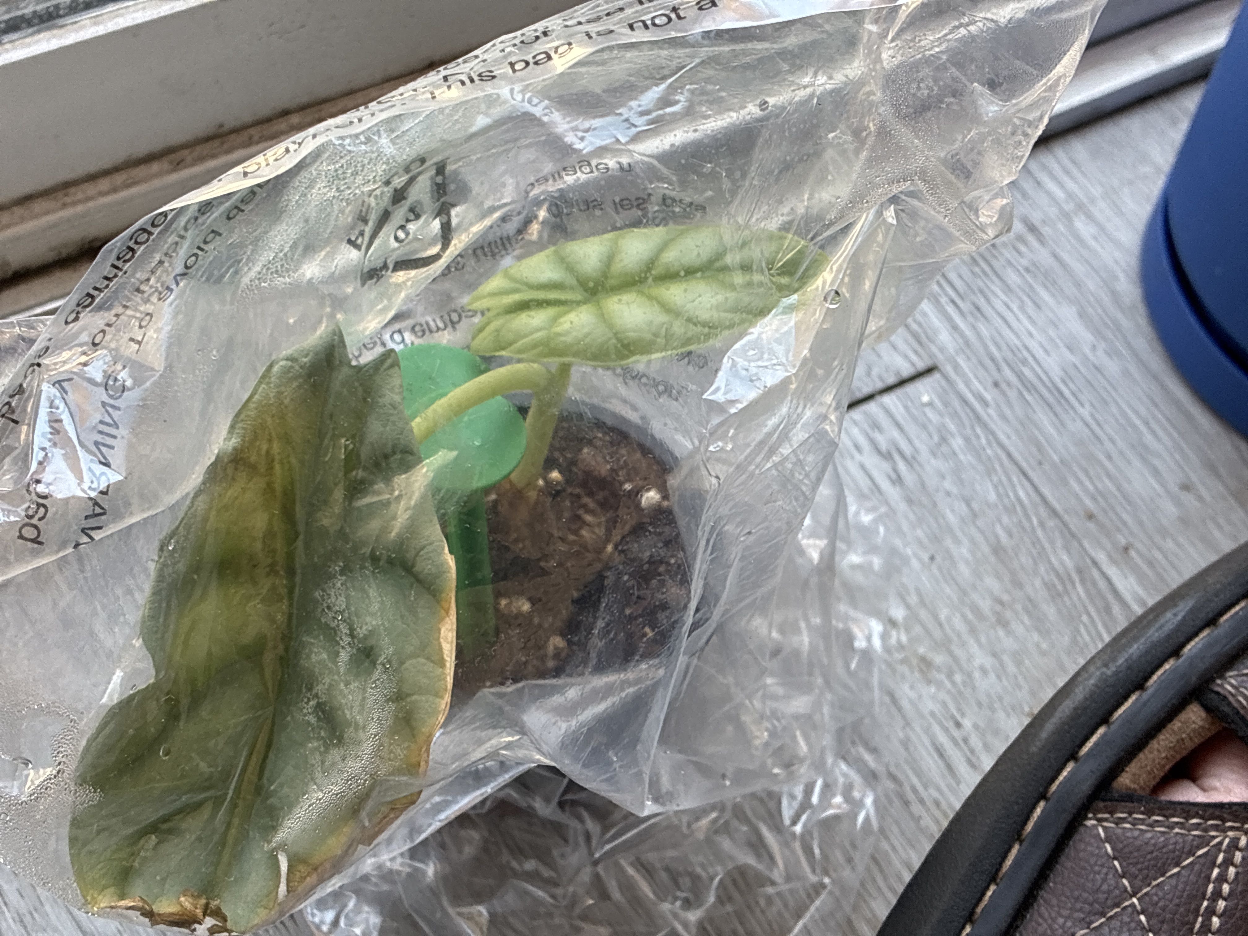 Photo from the post