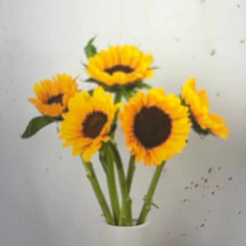 Photo of the plant species Atkinson's Tickseed by @ZealousTutu57 named Mando on Greg, the plant care app