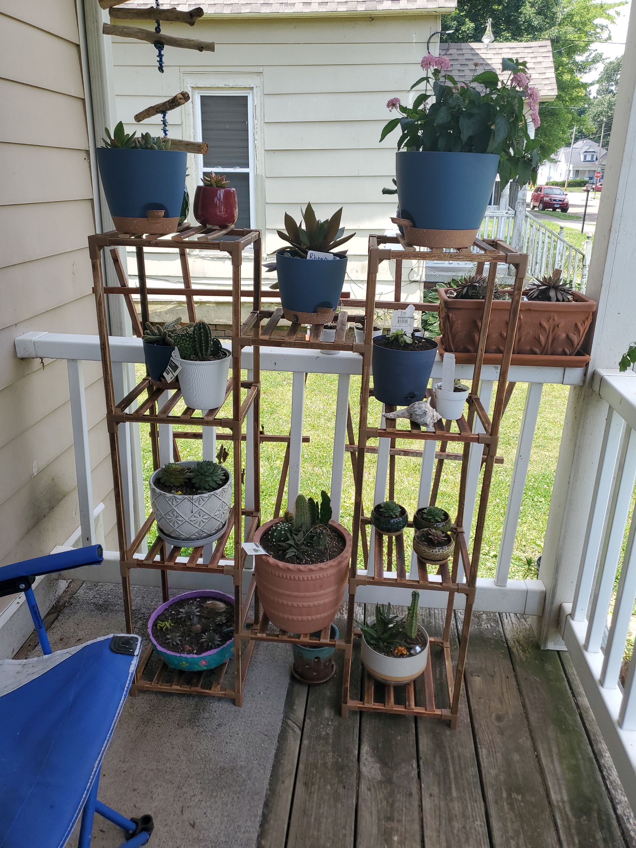 Photo from the post