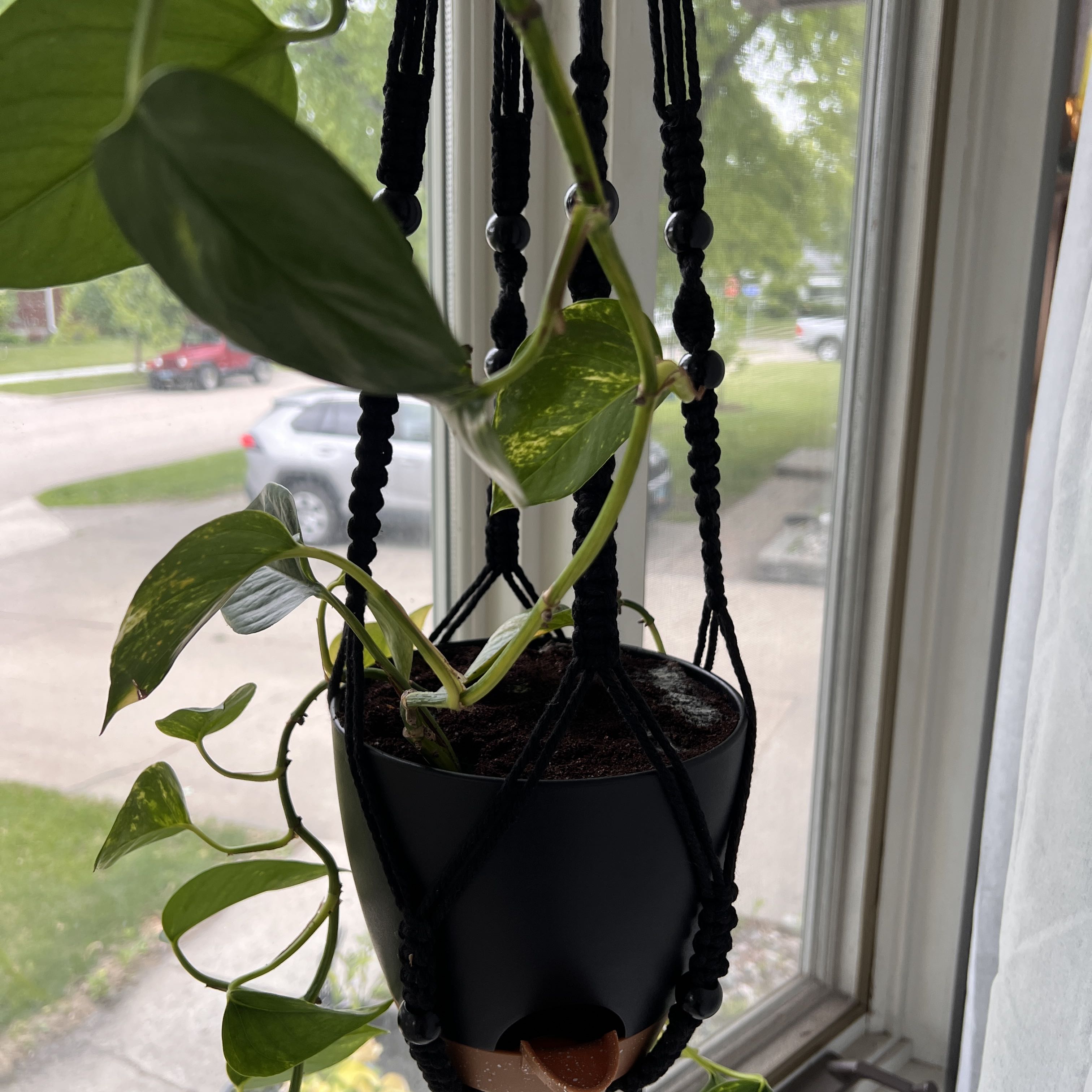 Photo from the post