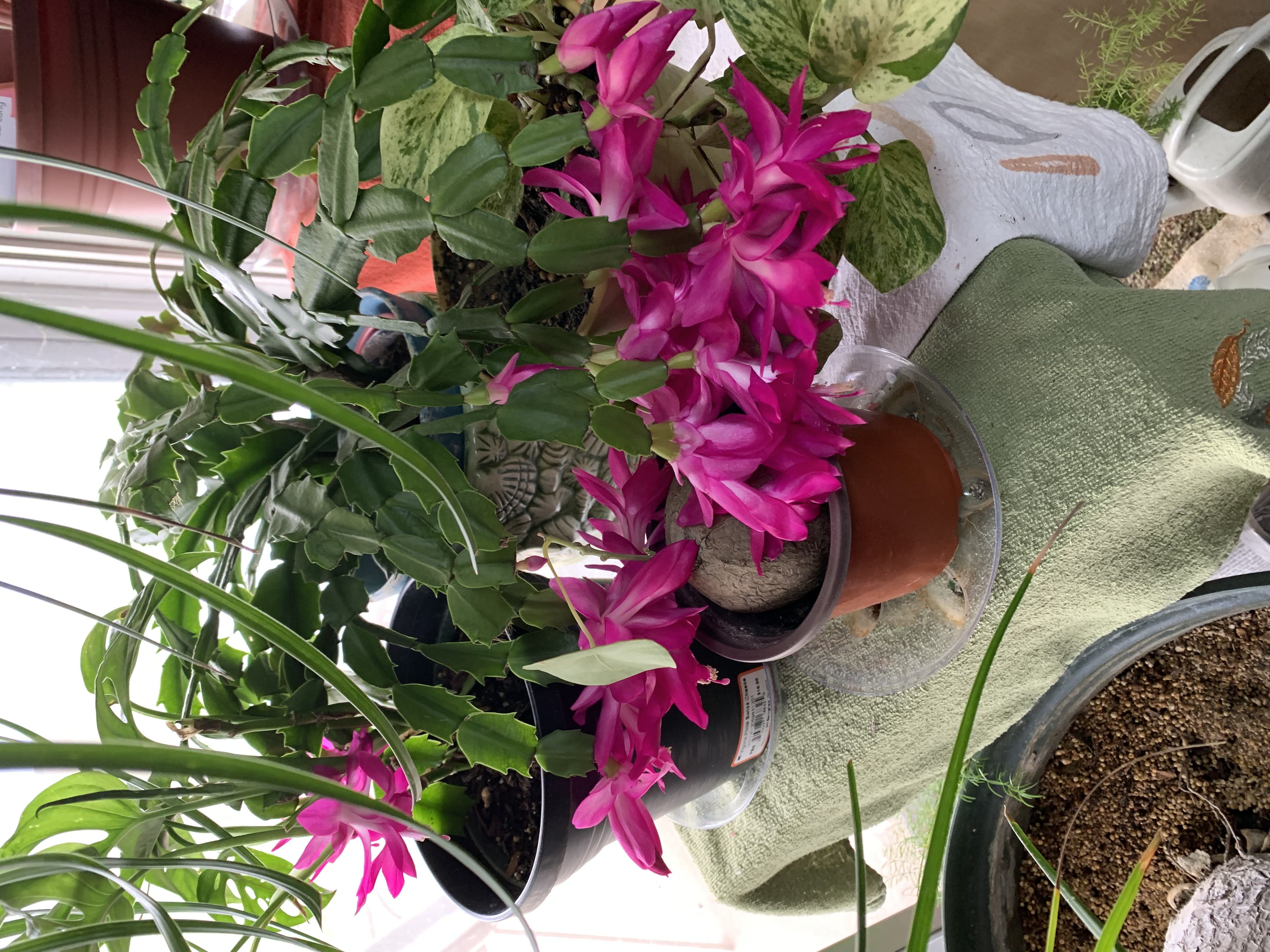 Photo from the post