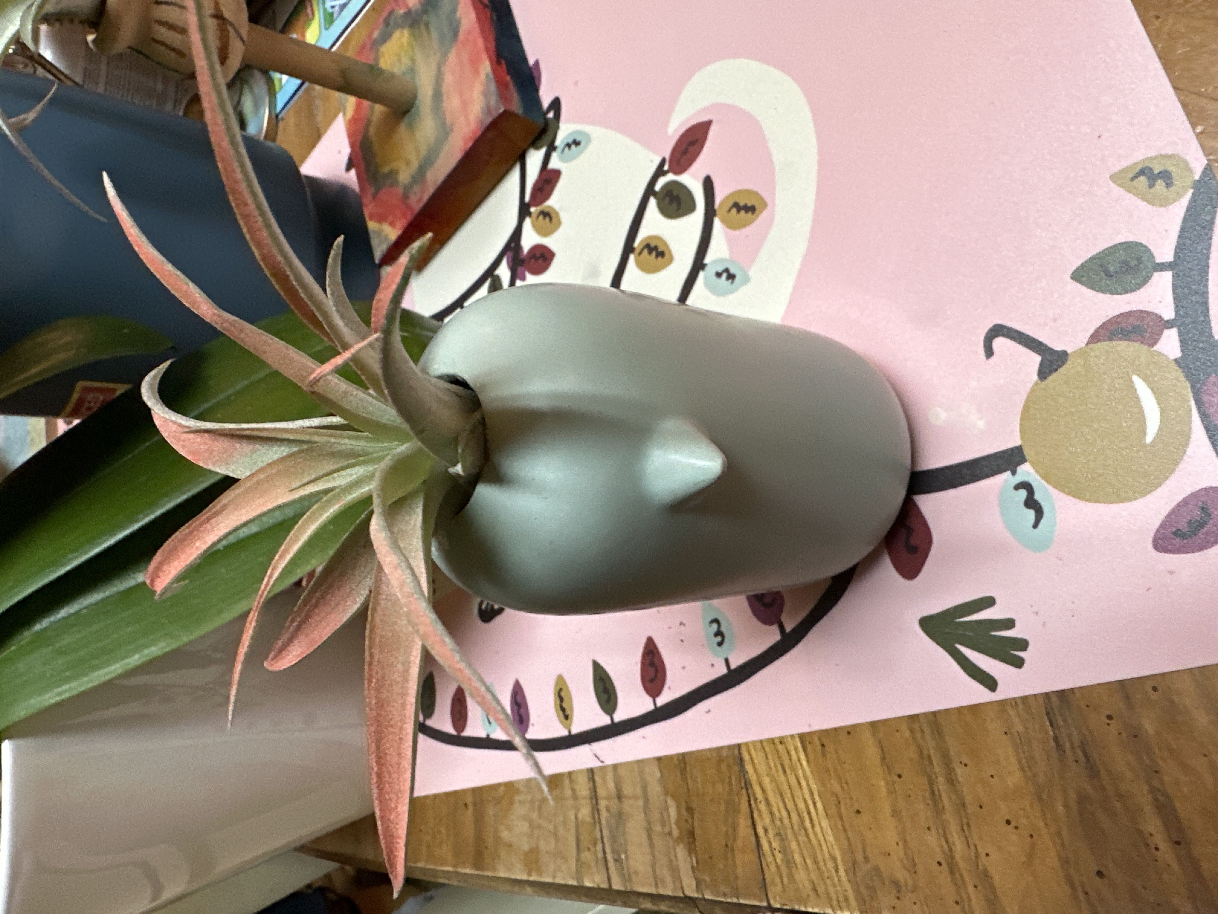 Photo from the post