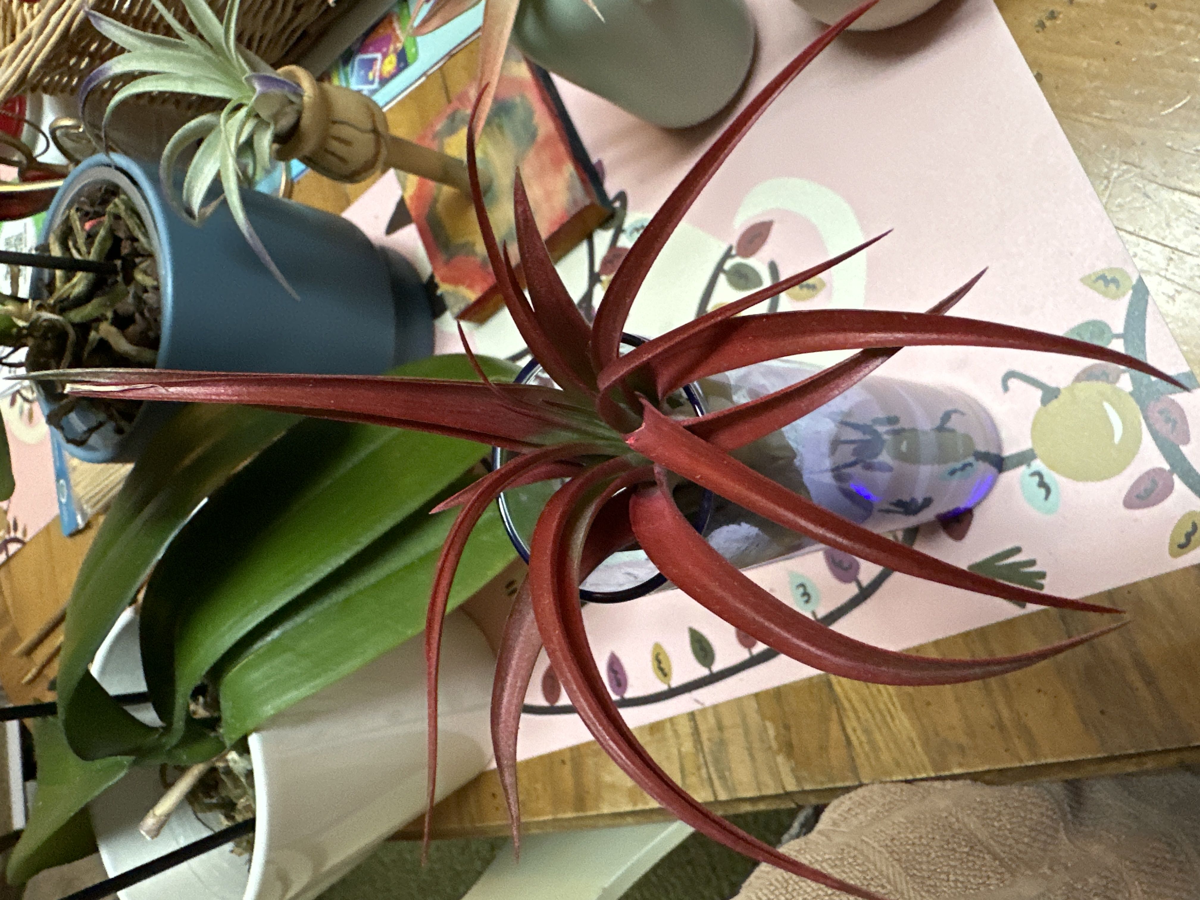 Photo from the post