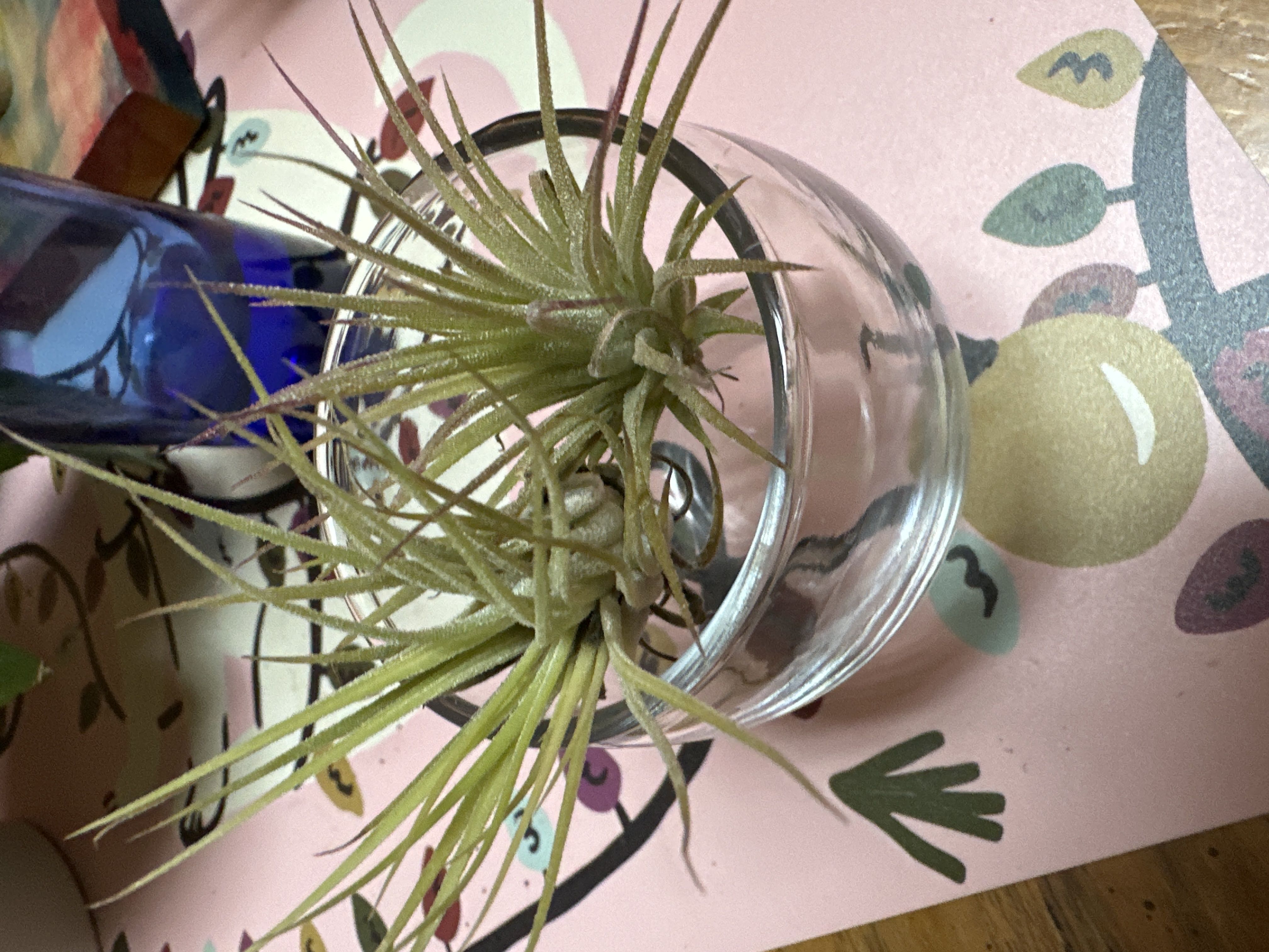 Photo from the post
