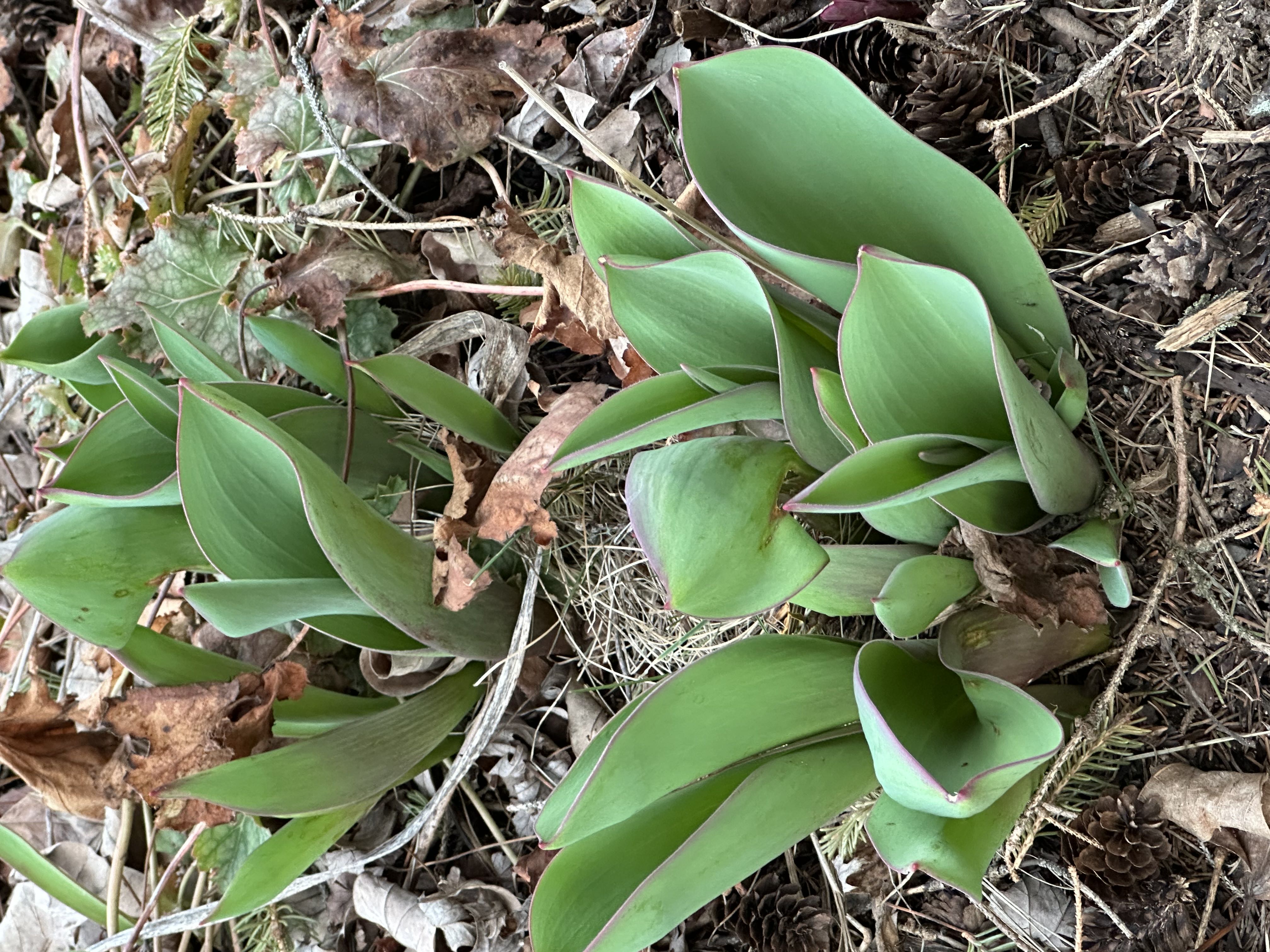 Photo from the post