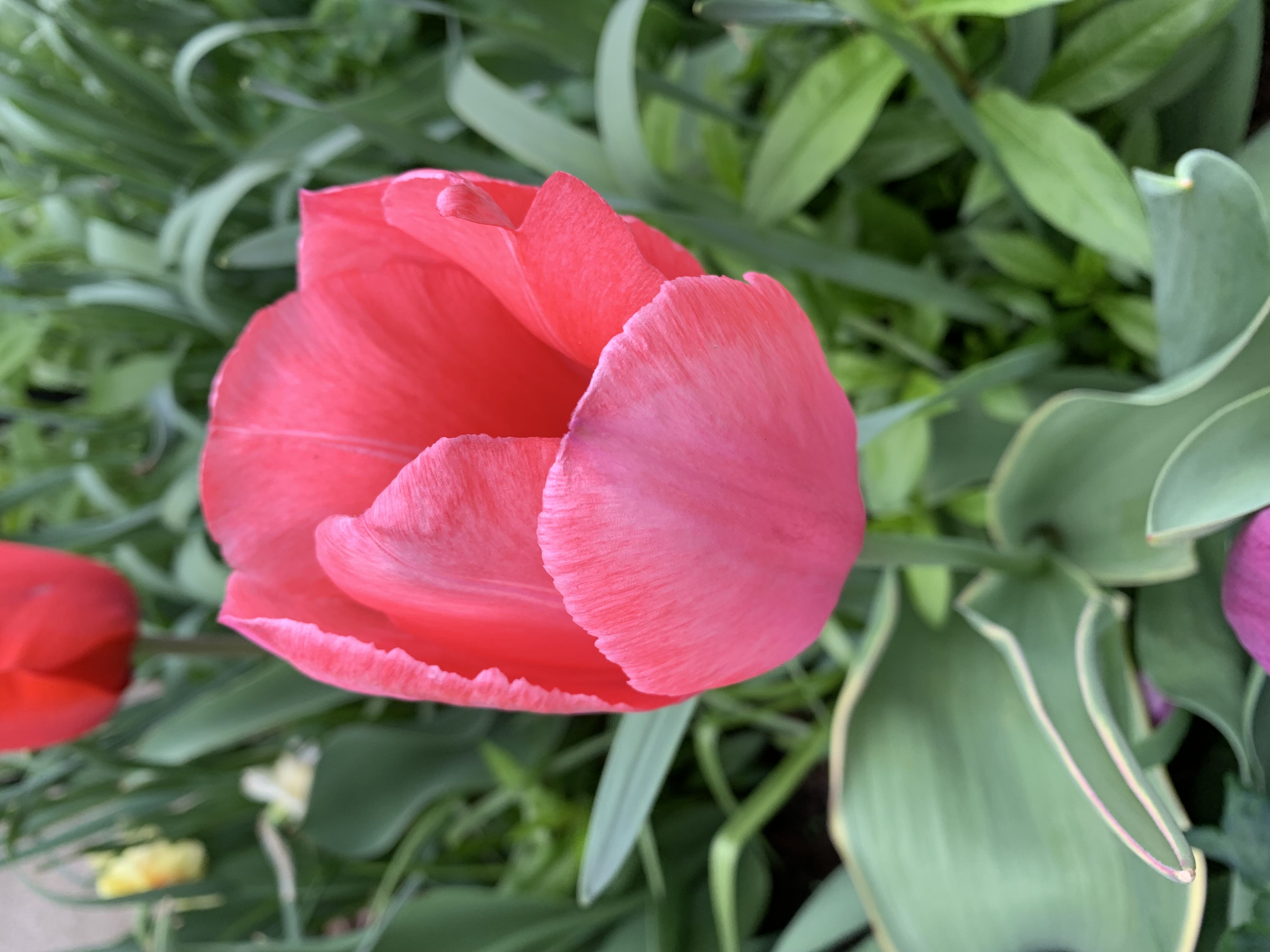 Photo from the post