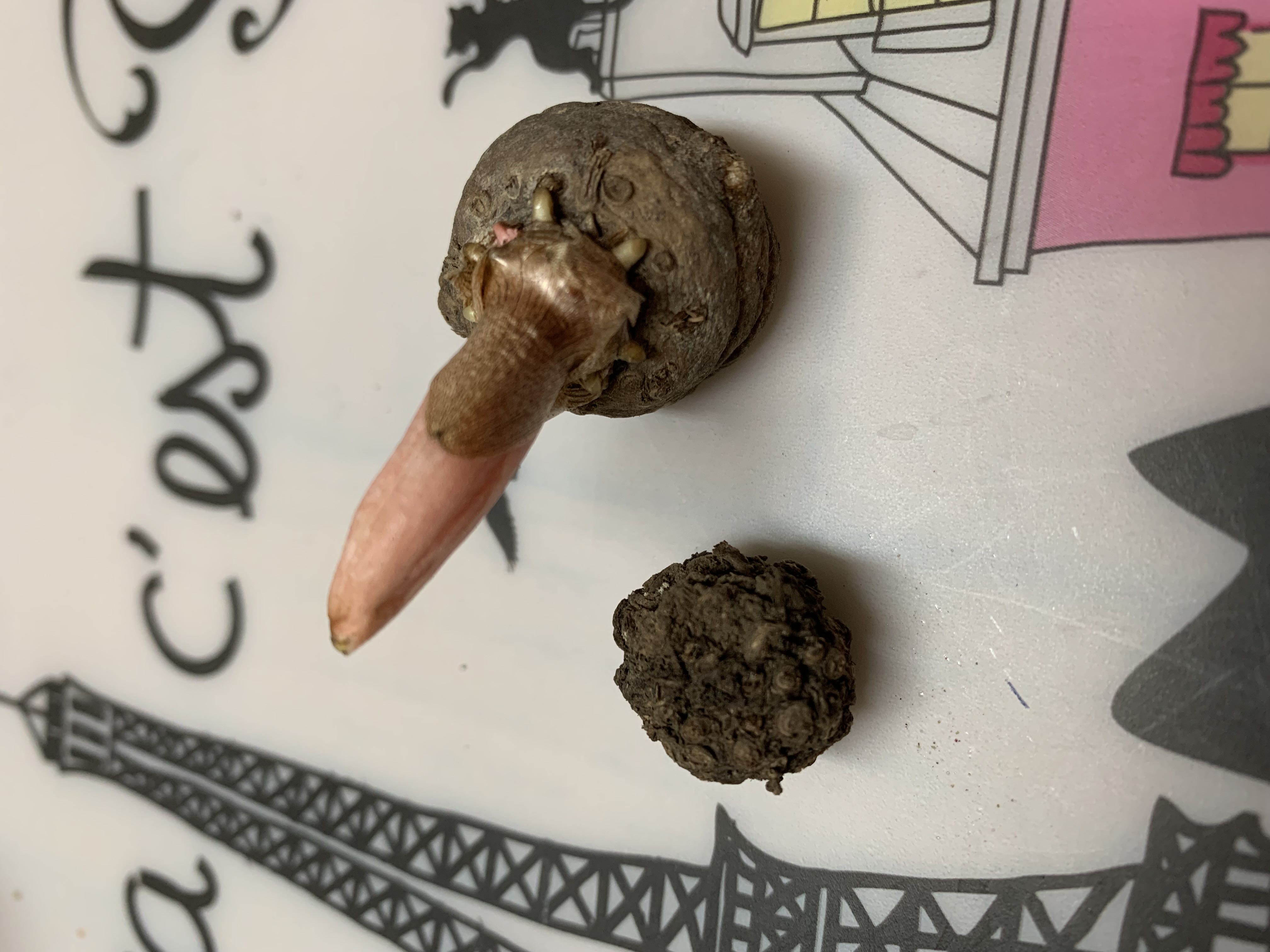 Photo from the post