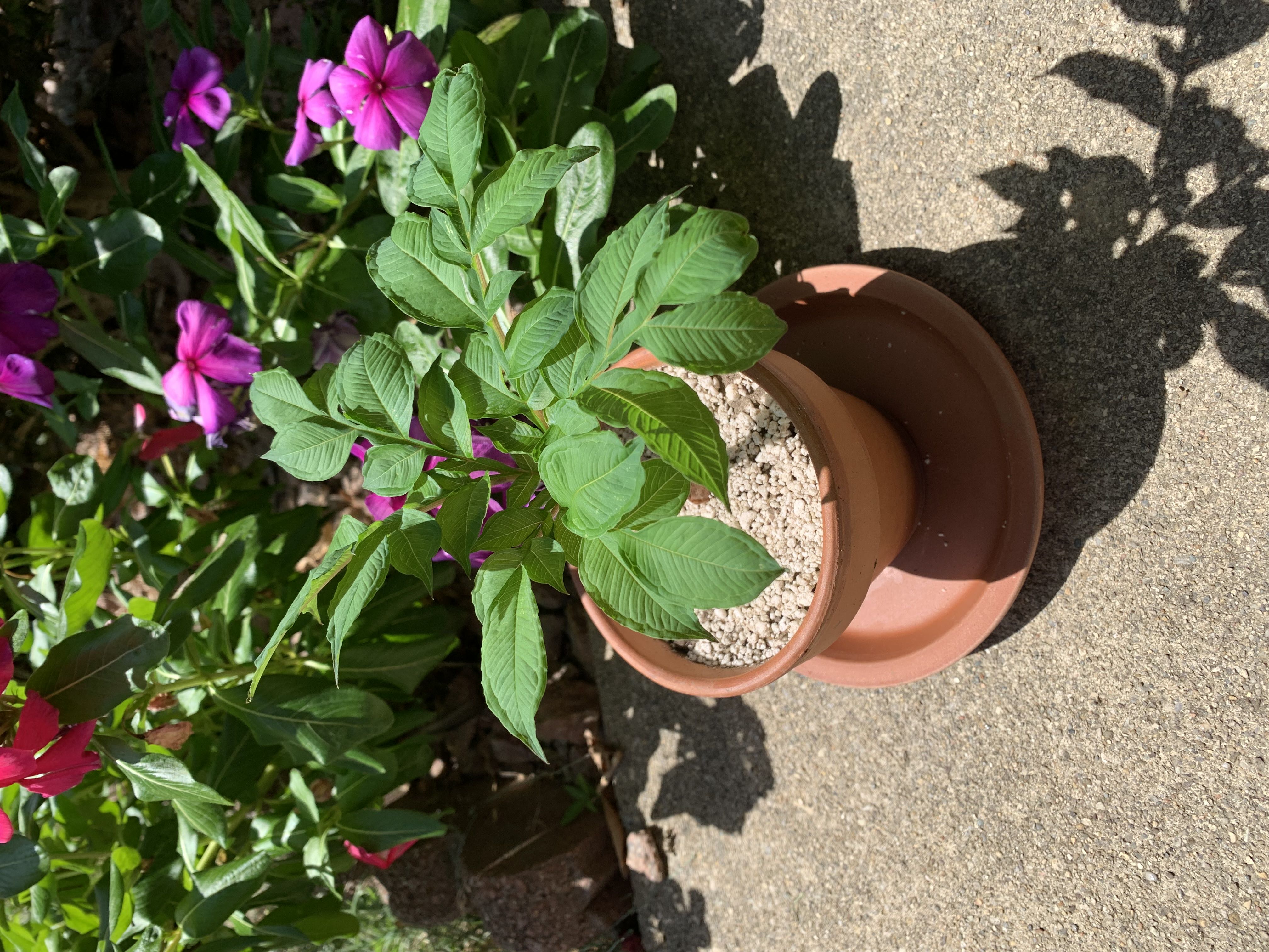 Photo from the post