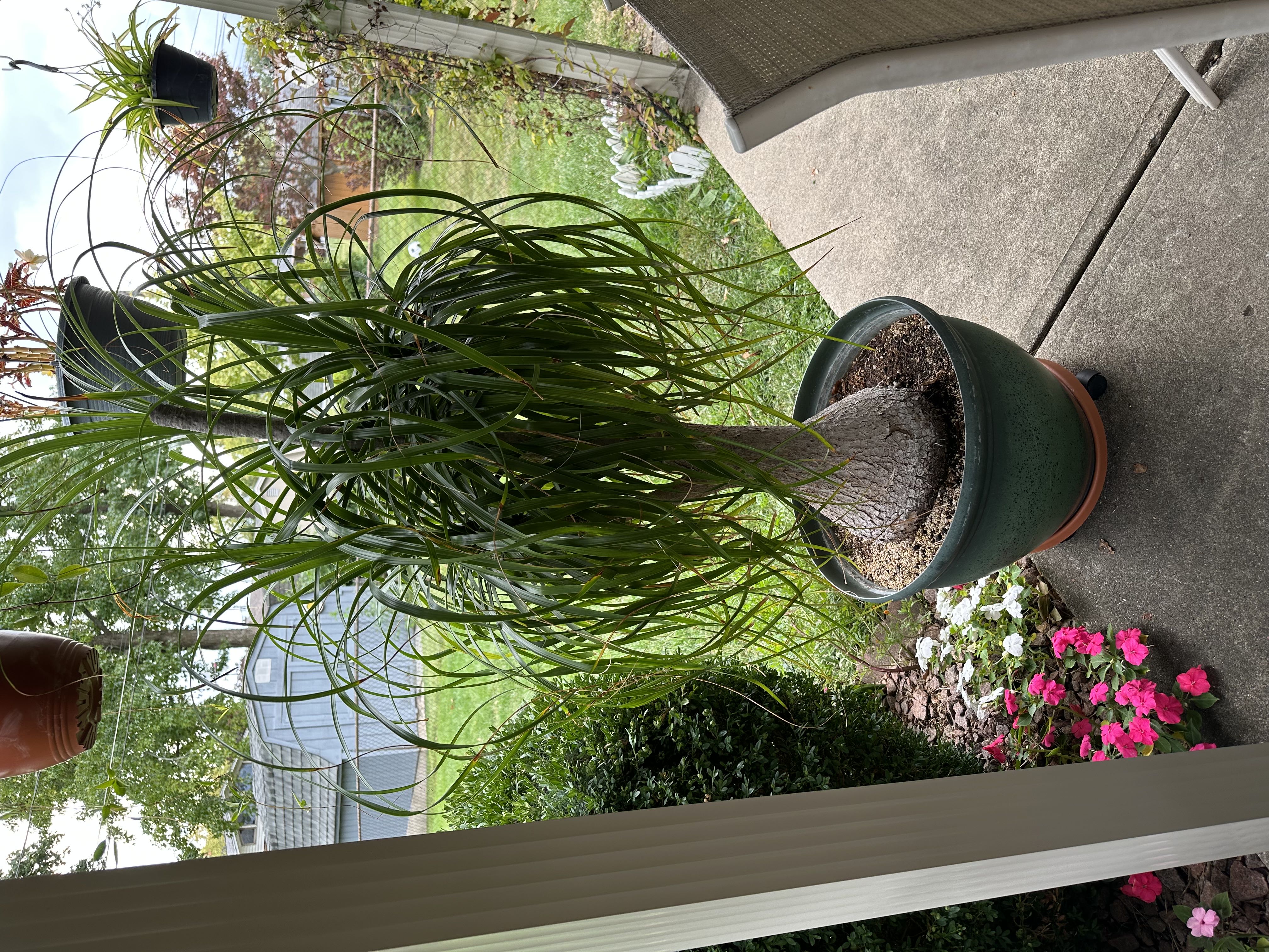 Photo from the post