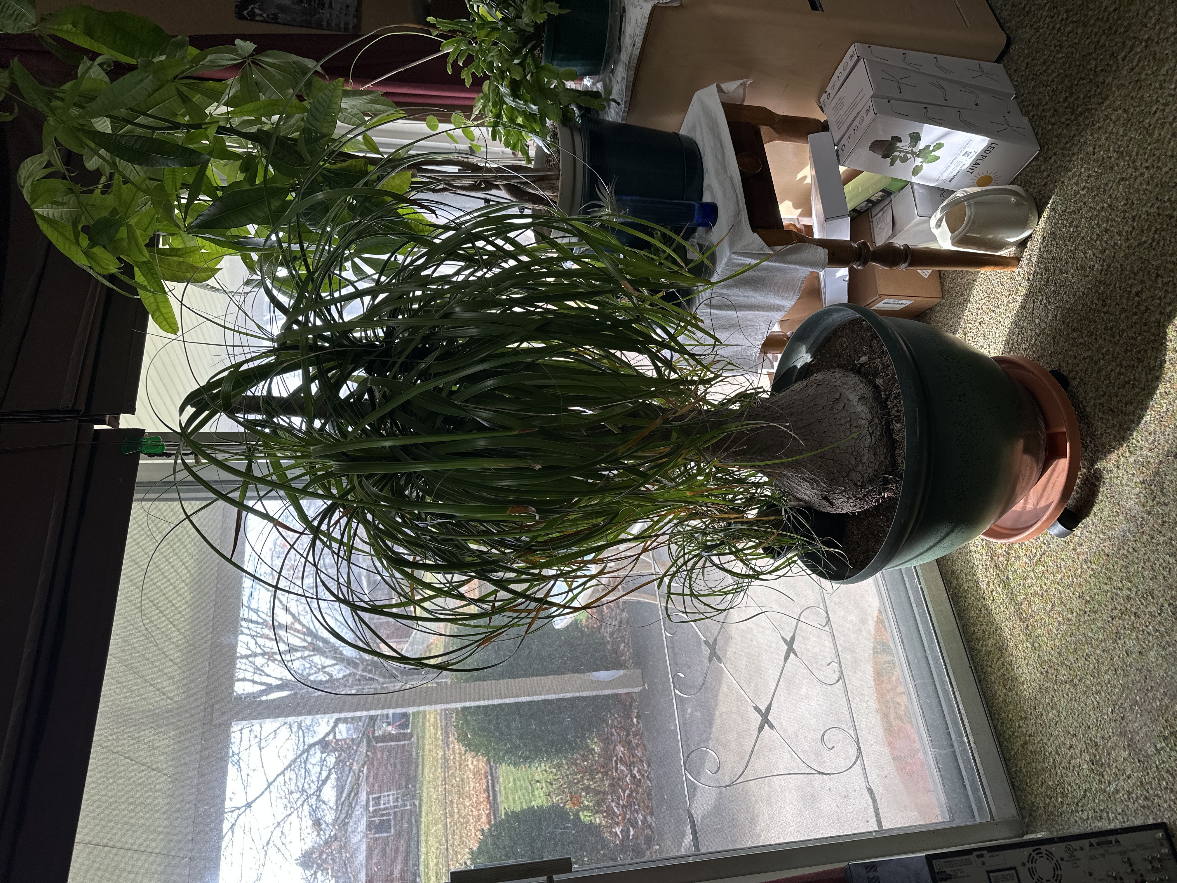 Photo from the post