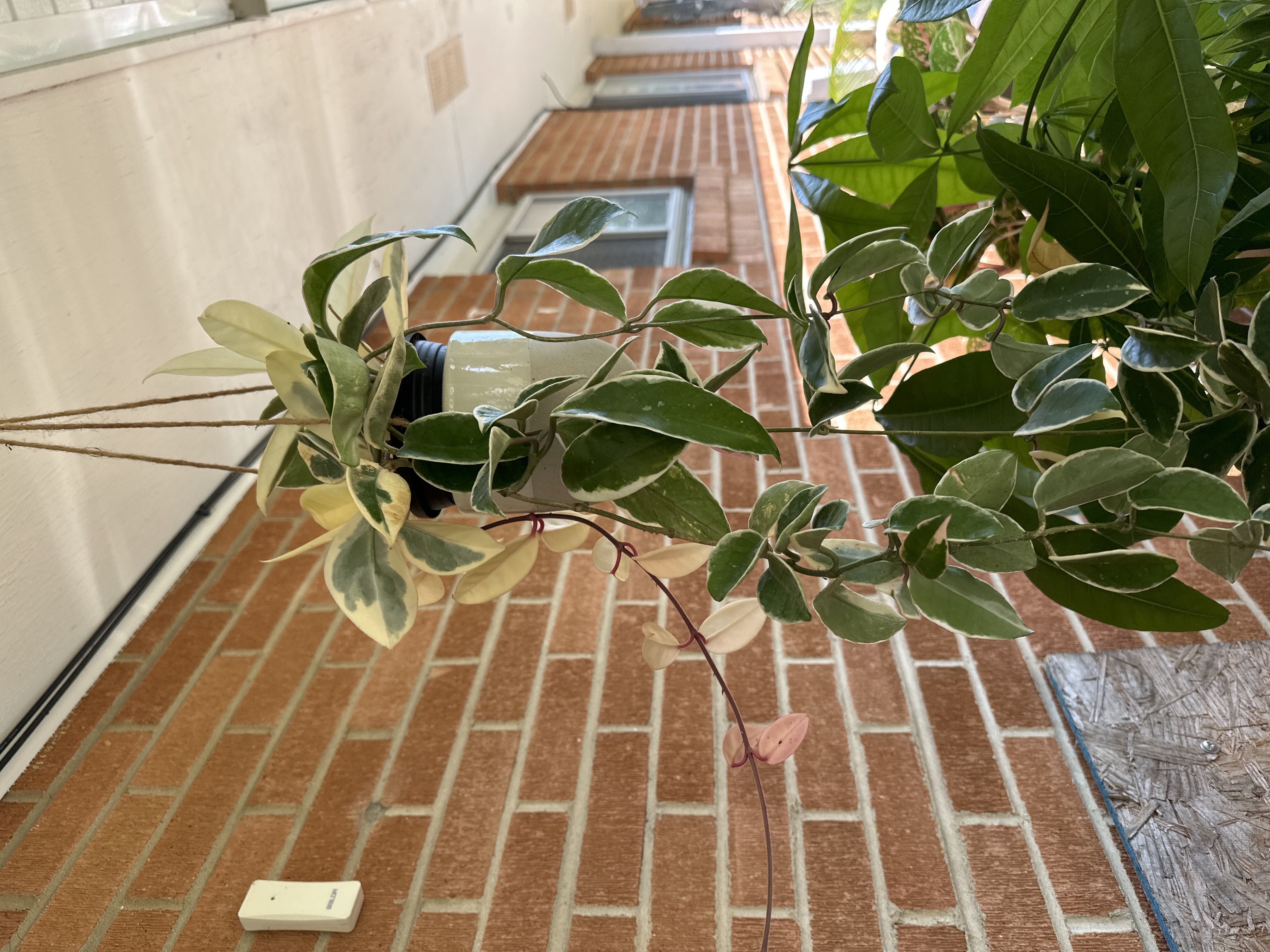 Photo from the post