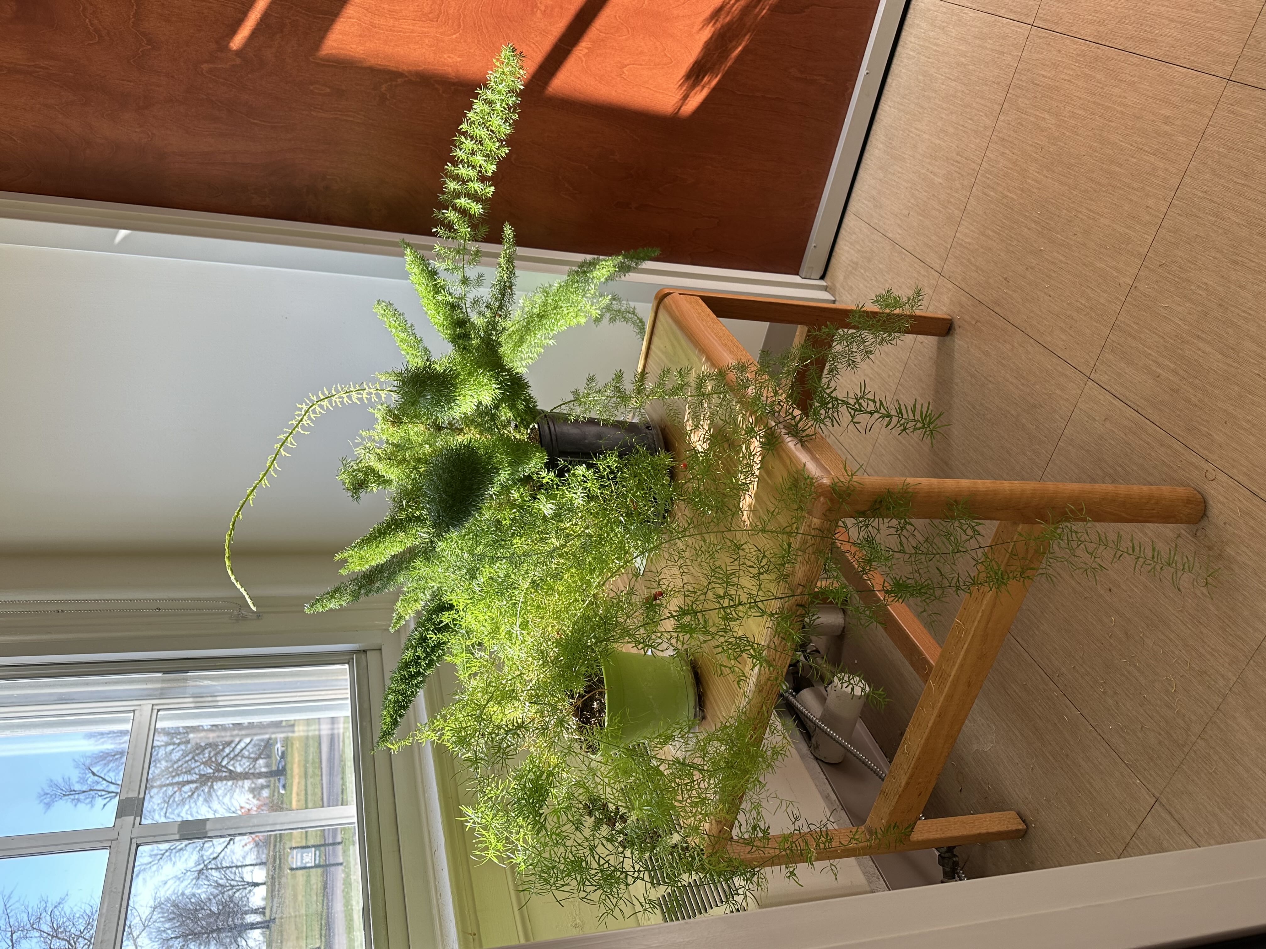 Photo from the post