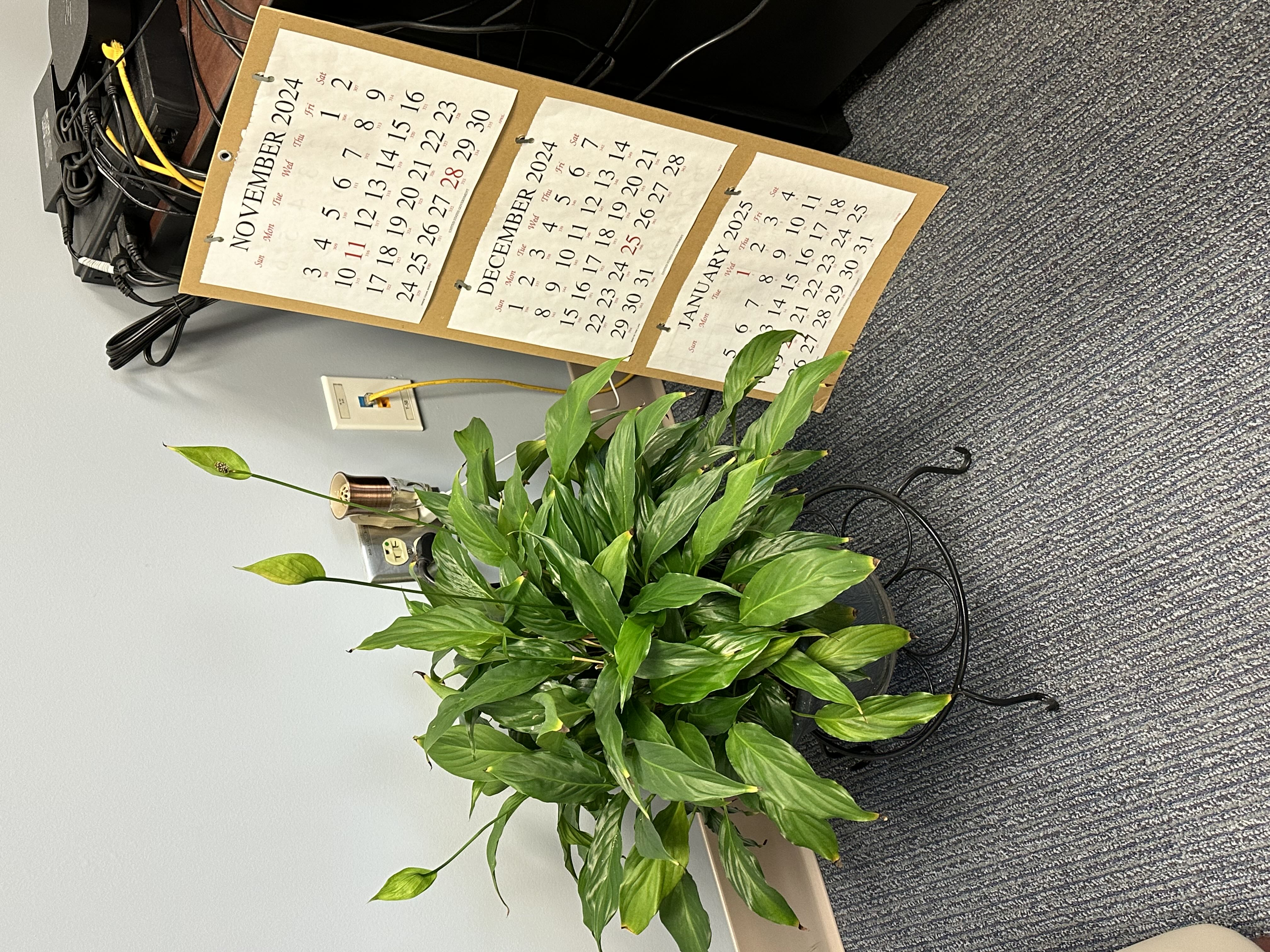 Photo from the post