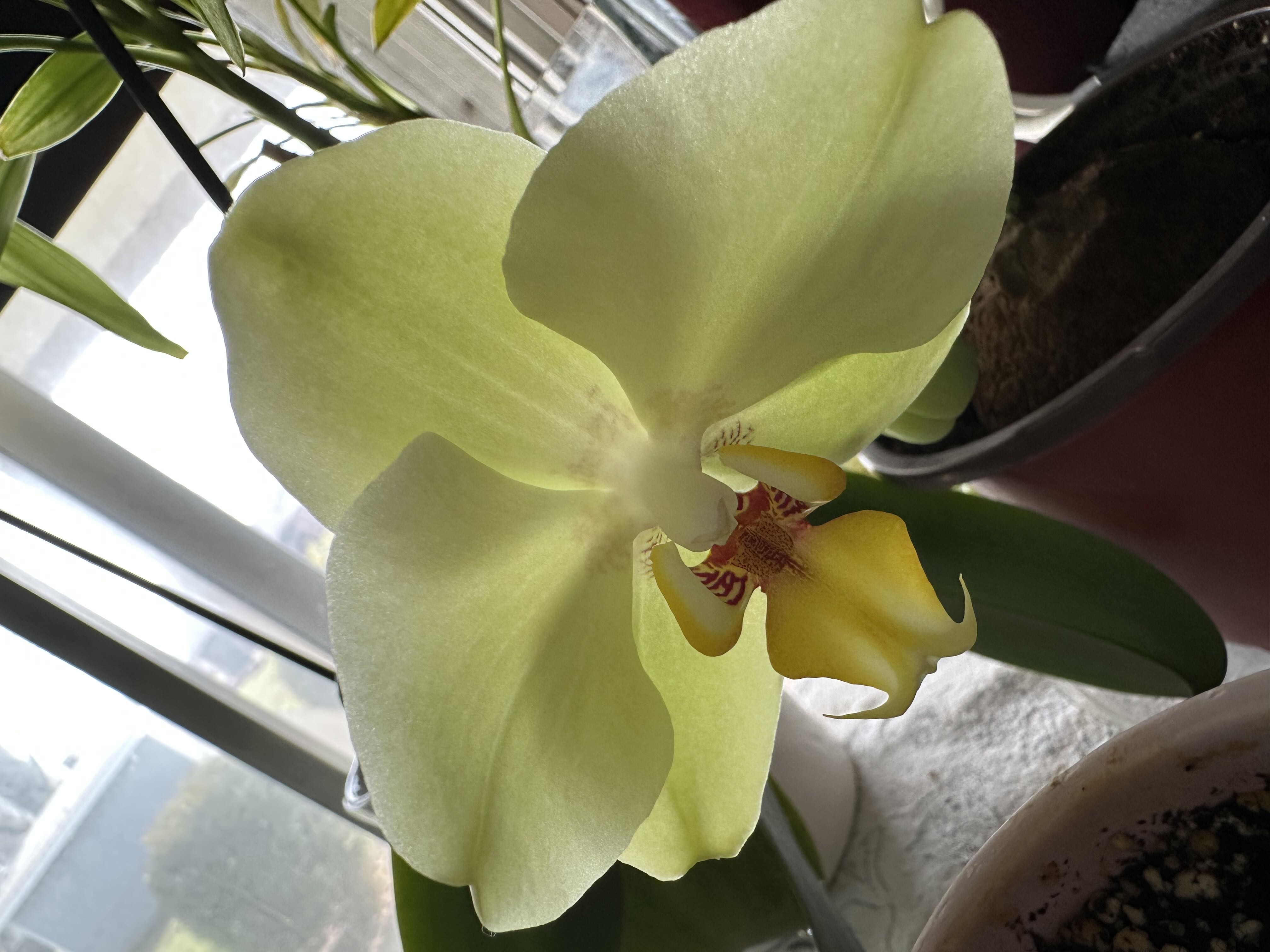Photo from the post