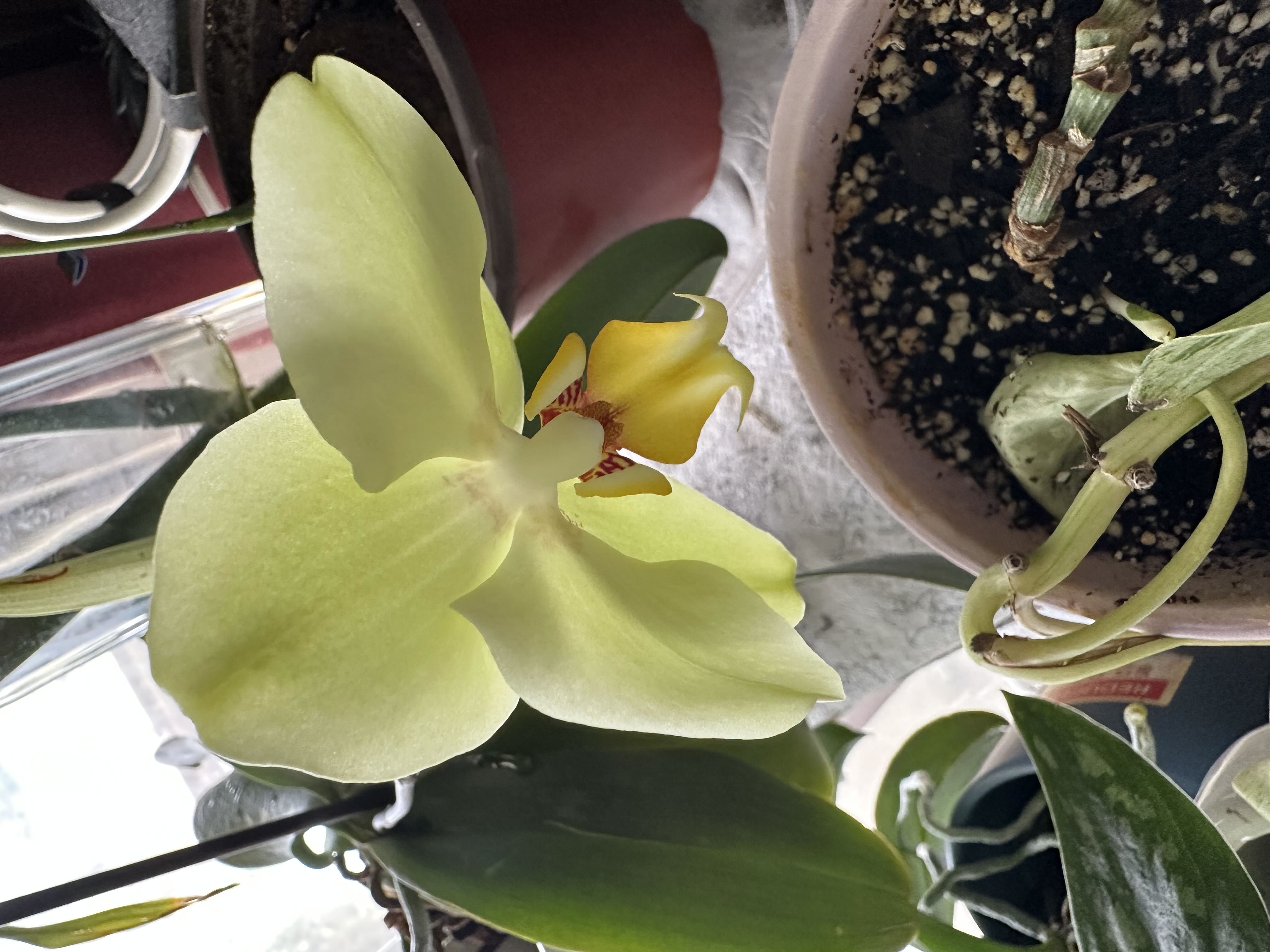 Photo from the post