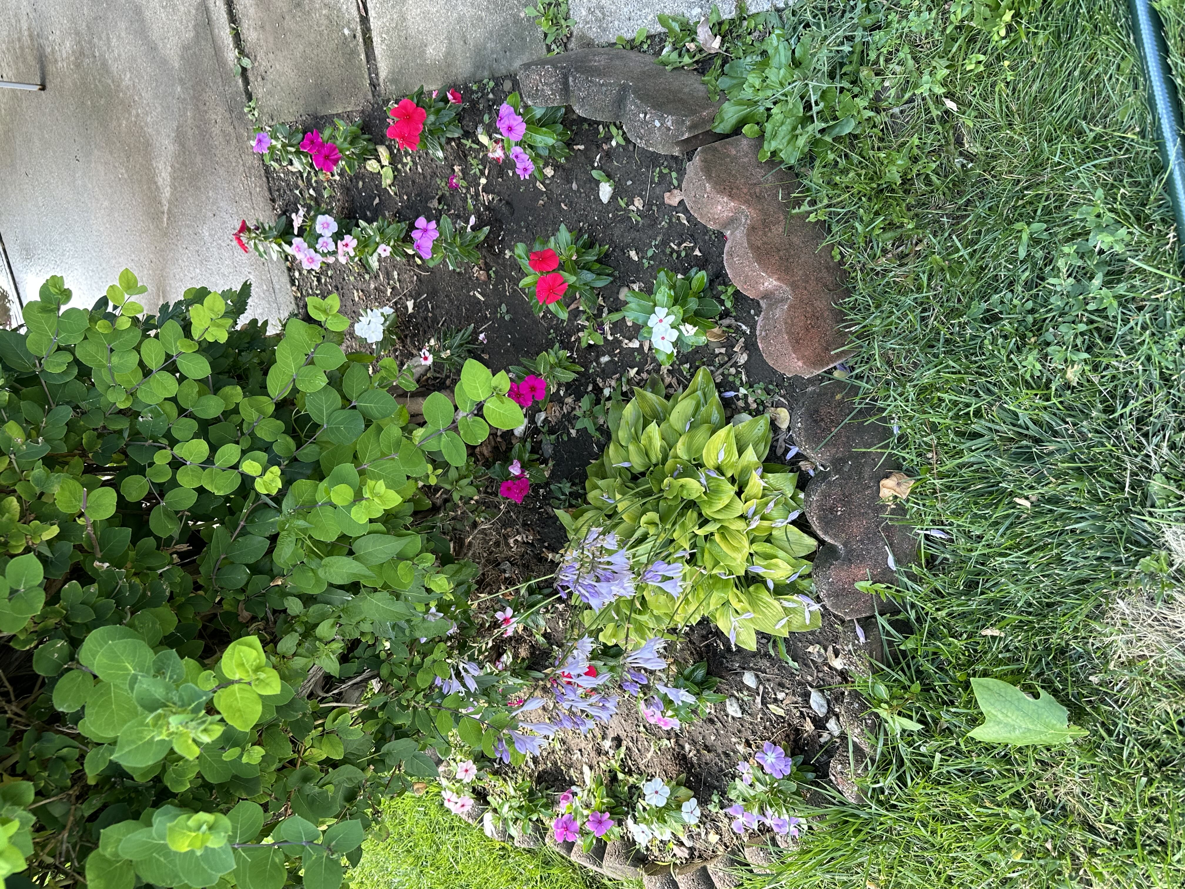 Photo from the post