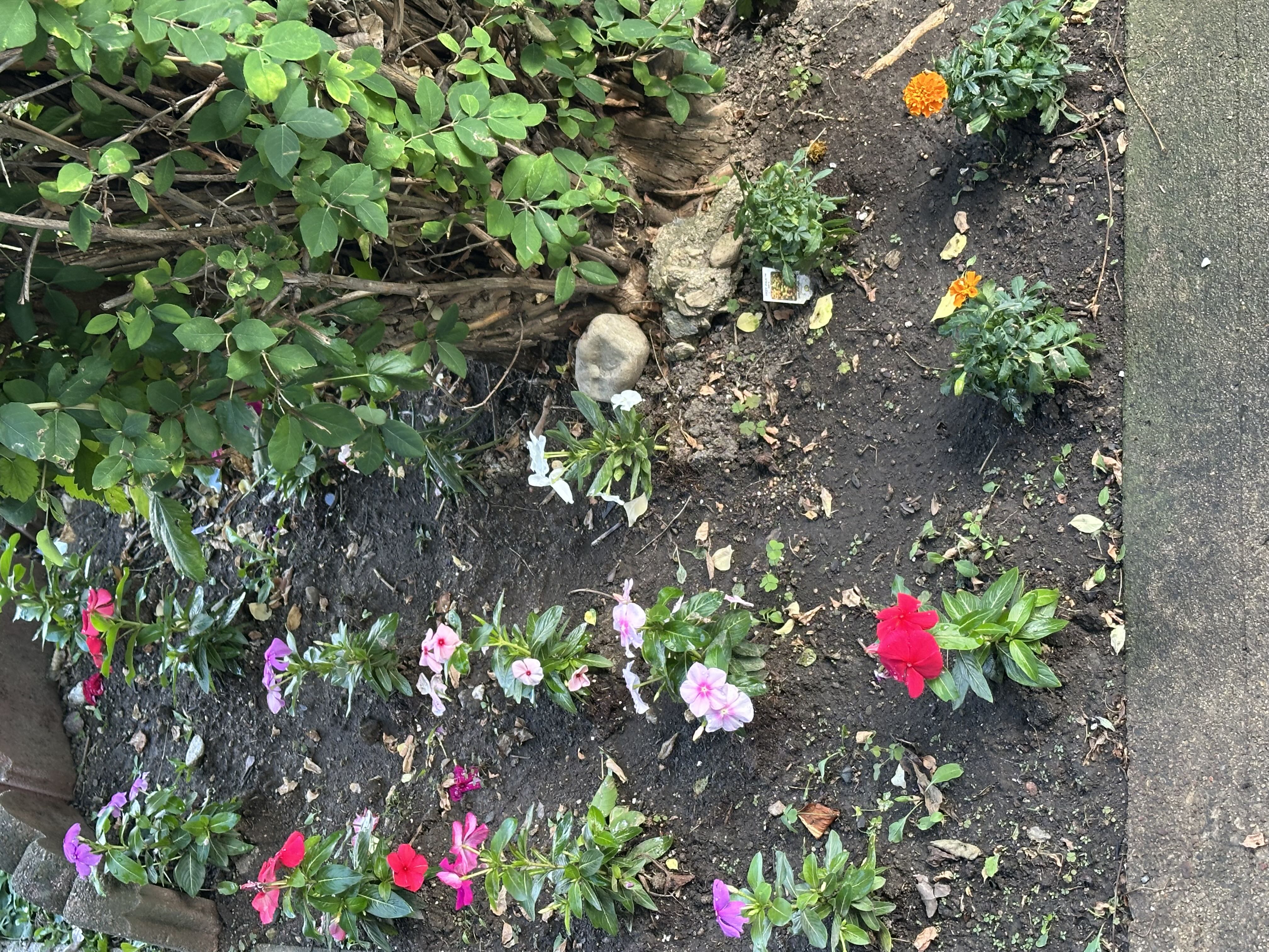 Photo from the post
