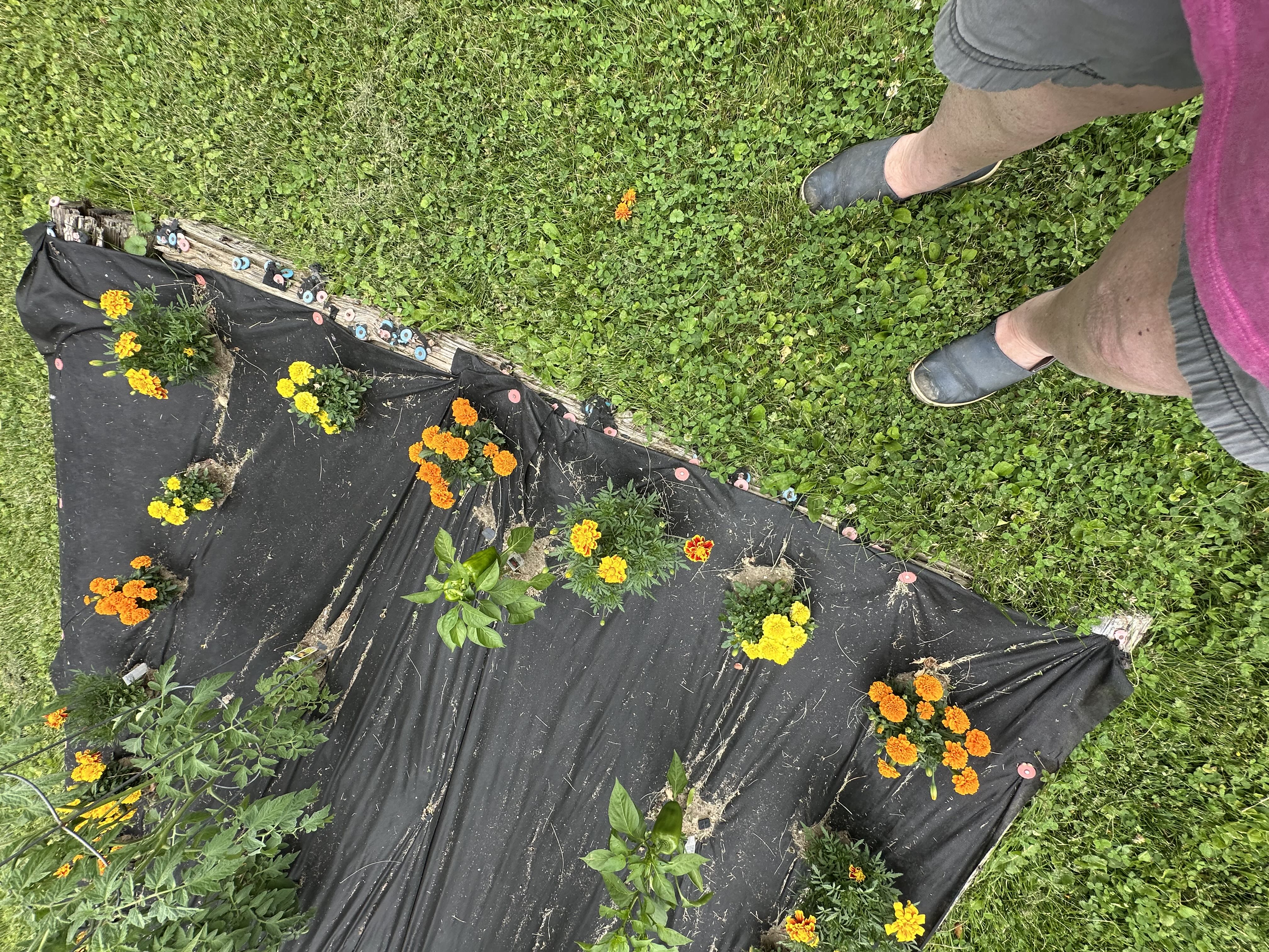 Photo from the post