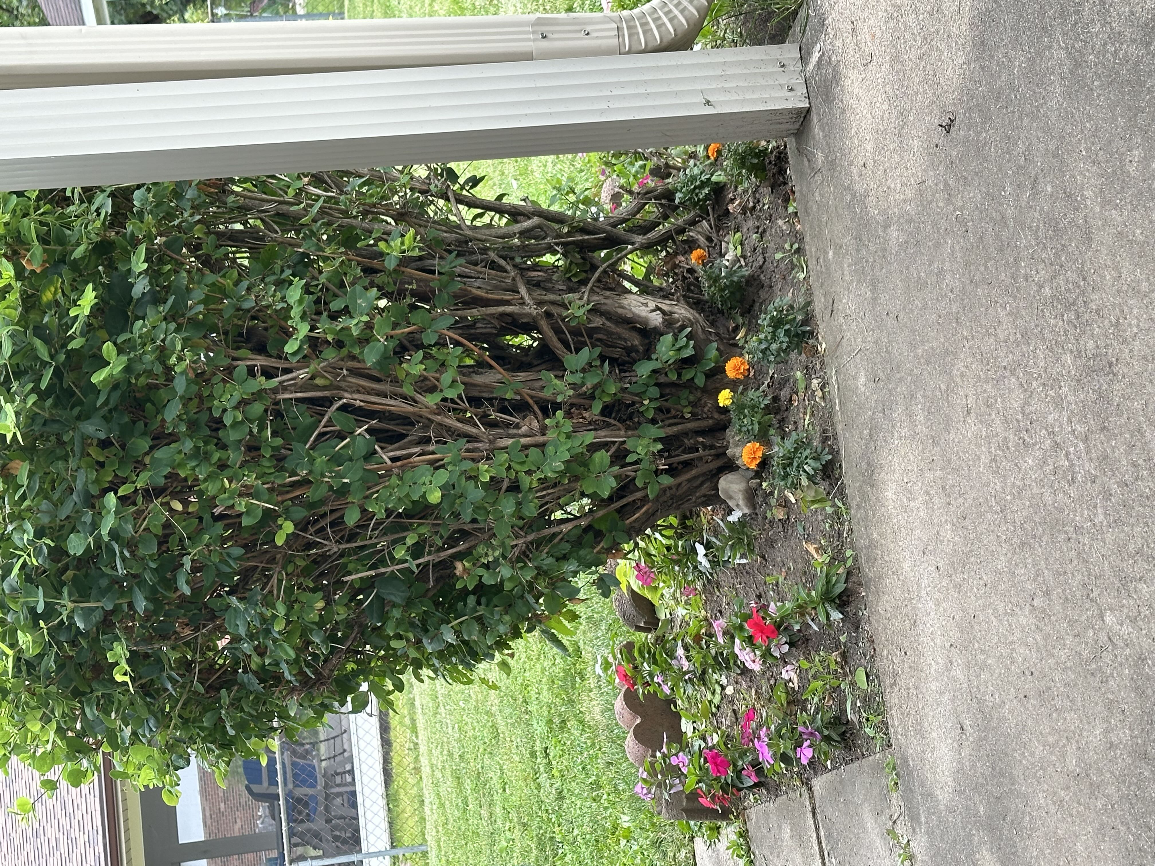 Photo from the post