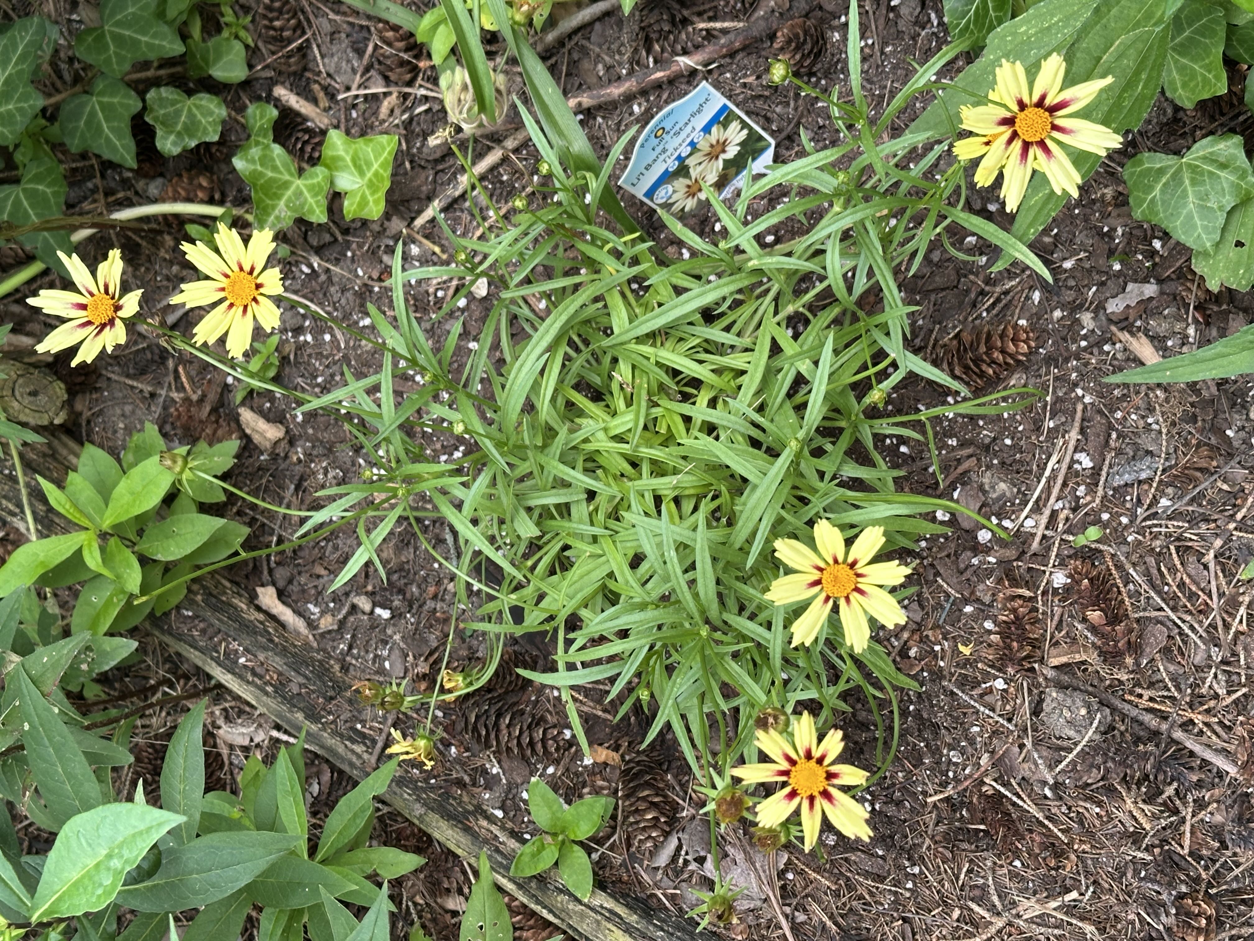 Photo from the post