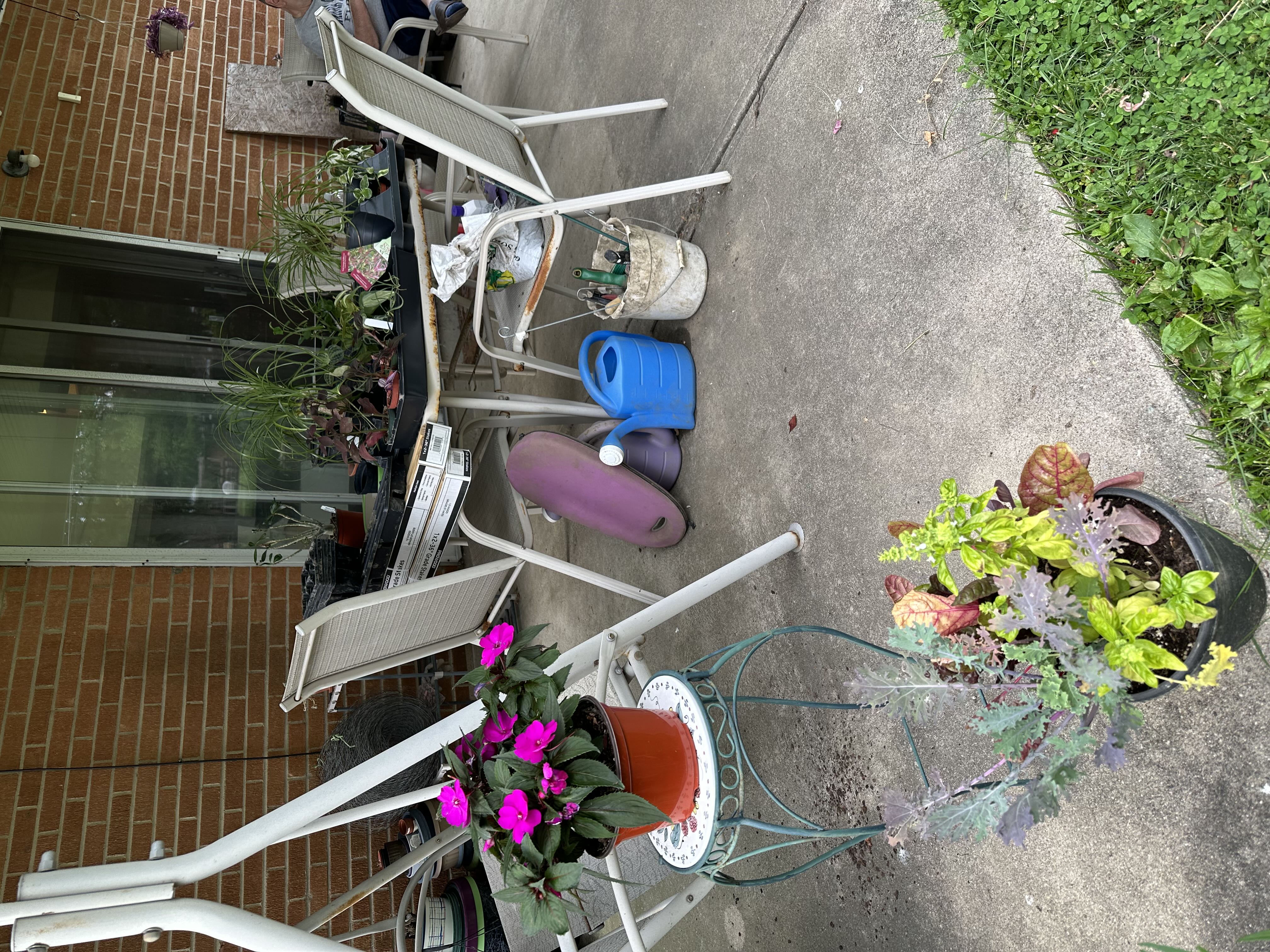 Photo from the post