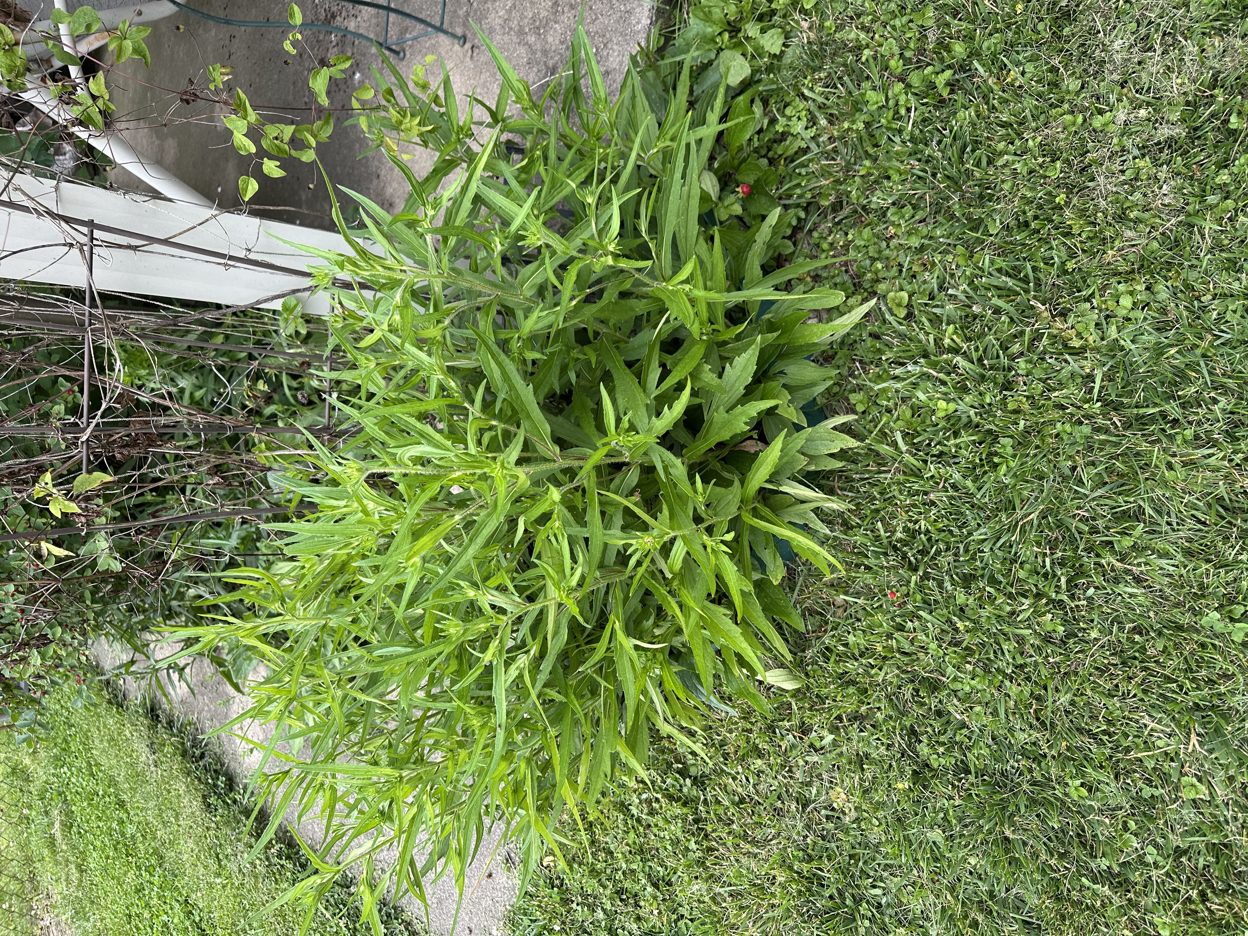 Photo from the post
