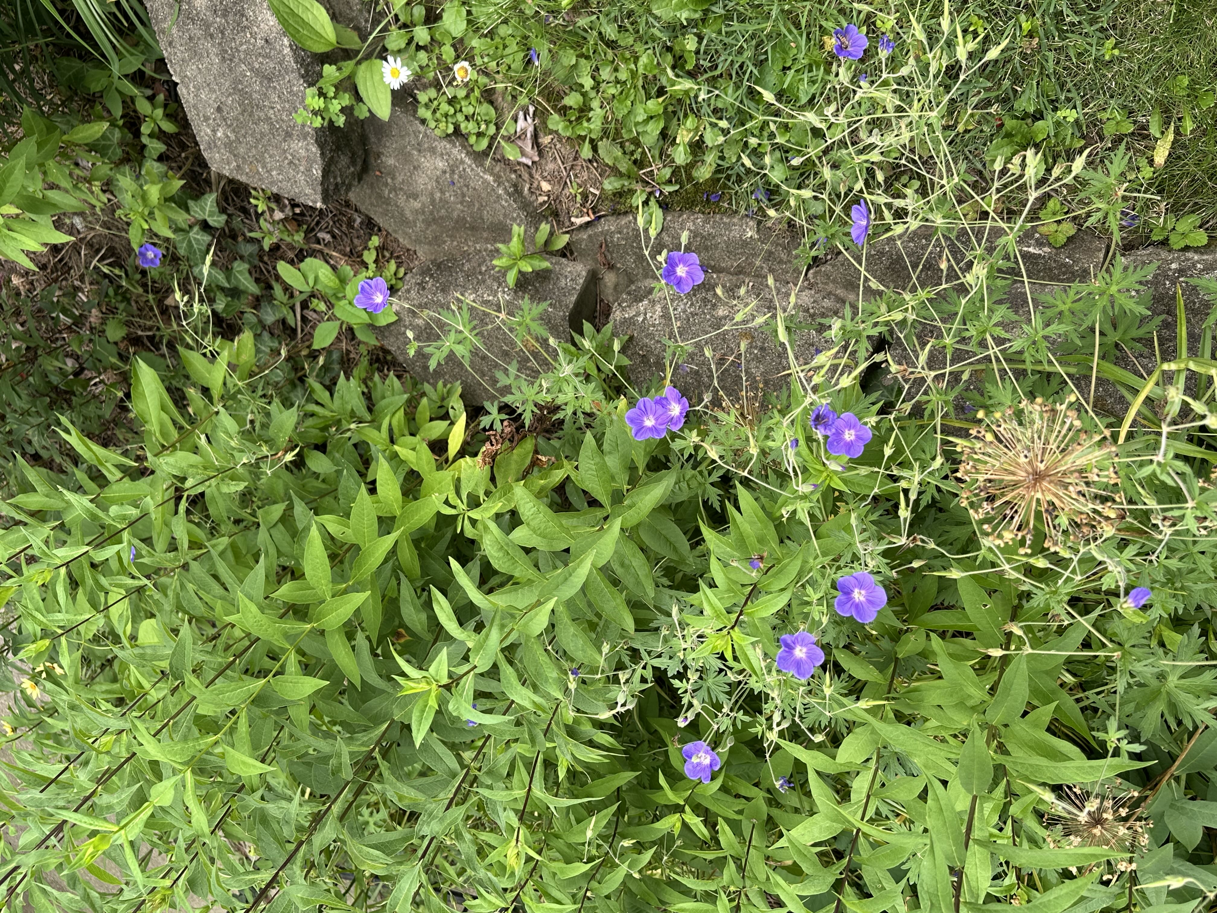 Photo from the post