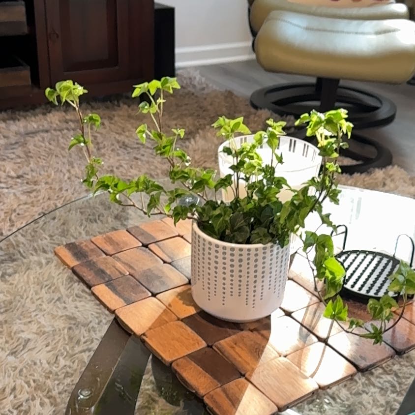 Photo of the plant species Curly Locks Ivy by @MellowJonquil27 named Kobe on Greg, the plant care app