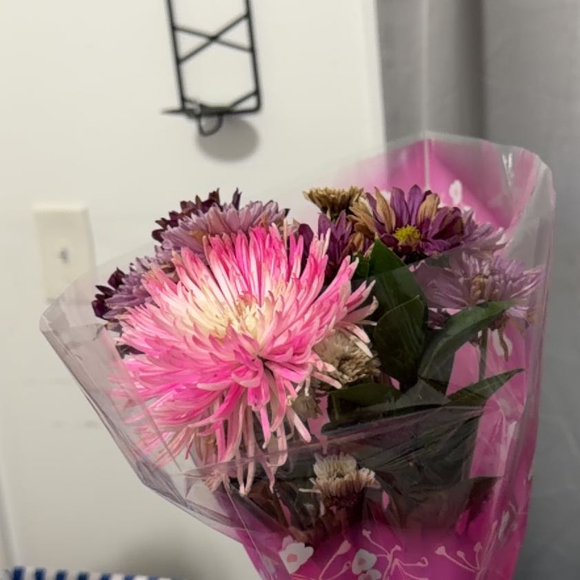 Photo of the plant species China Aster by @ActiveChaya77 named Kardashian on Greg, the plant care app