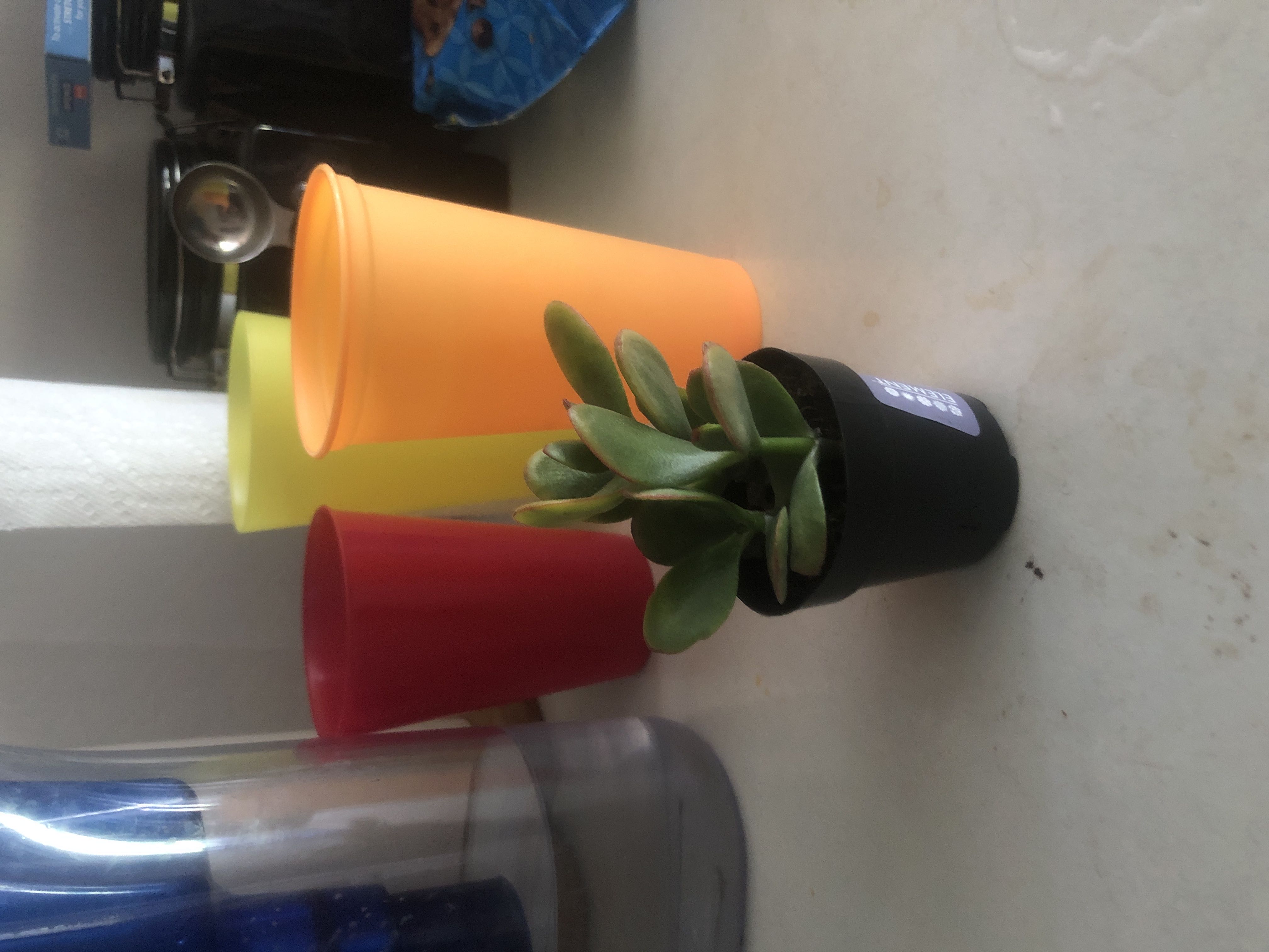 Photo from the post