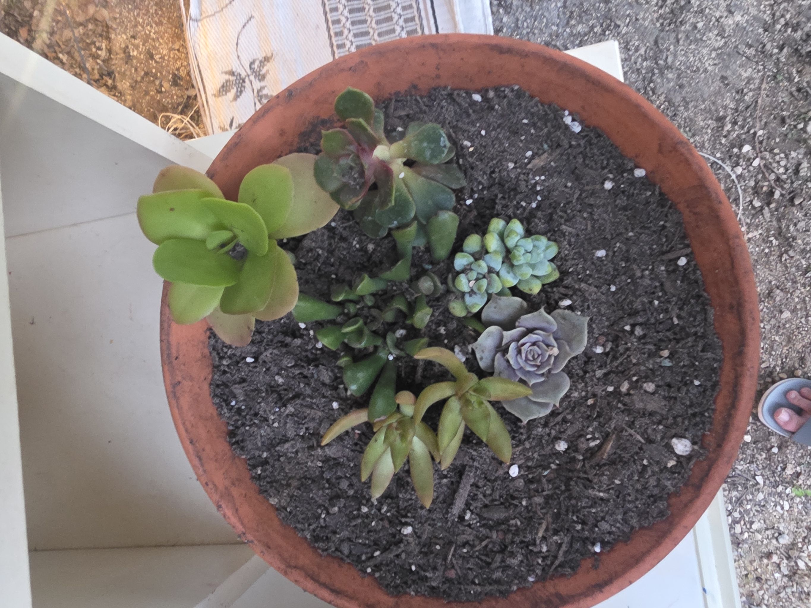Photo from the post