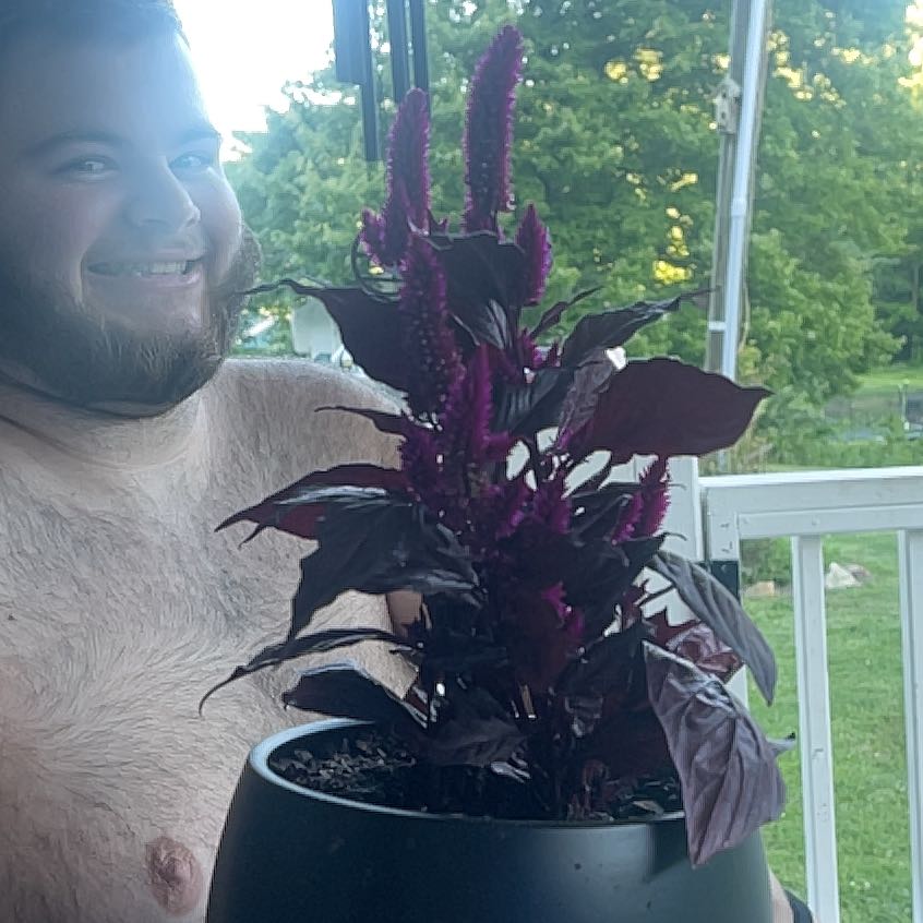 Photo of the plant species Amaranthus Cruentus by @BuffTaro22 named Demi on Greg, the plant care app