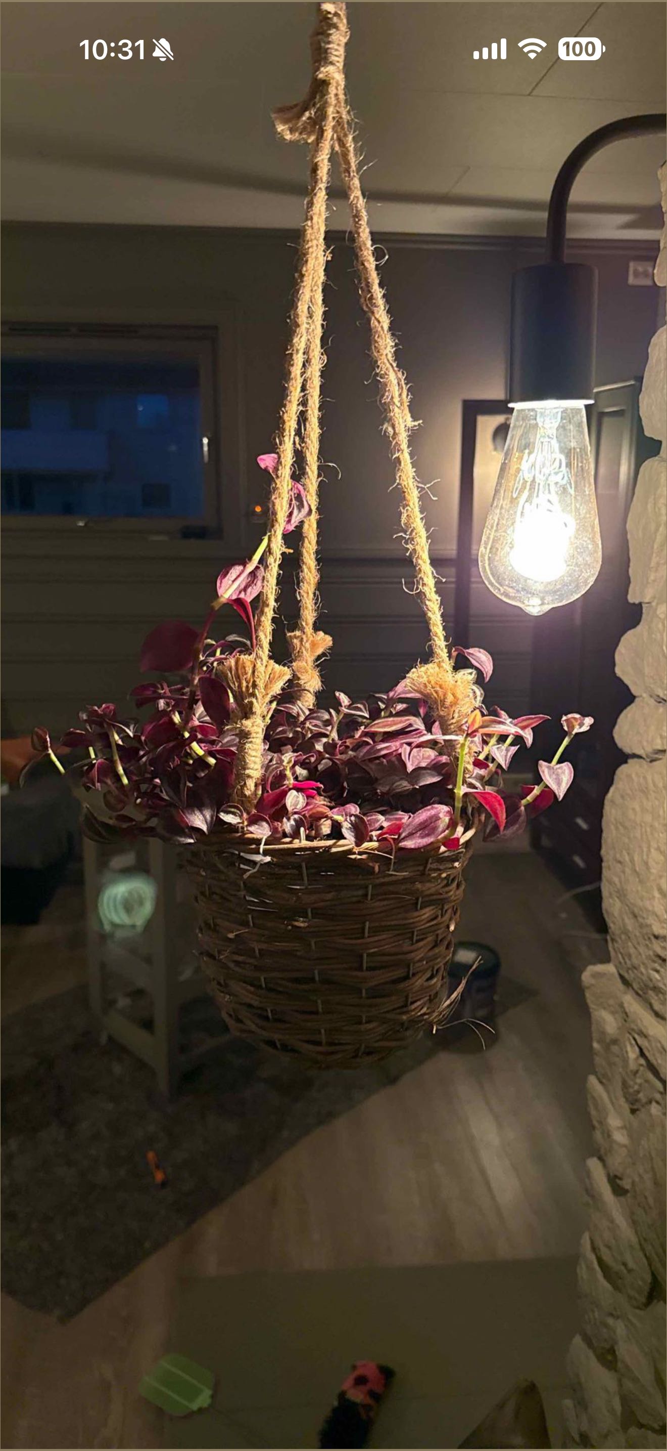Photo from the post