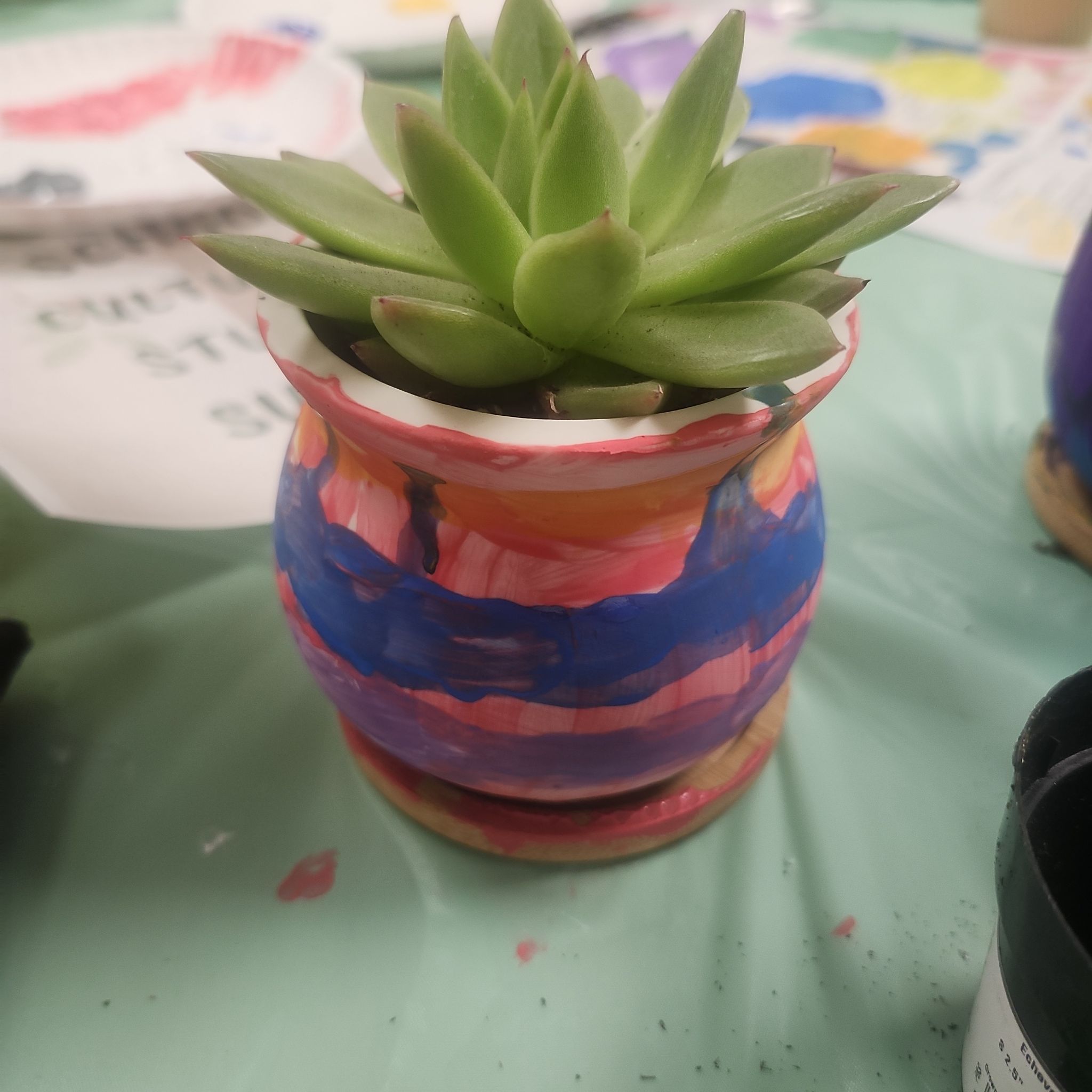 Photo of the plant species Echeveria 'Miranda' by @LoyallyIvy34 named Everia on Greg, the plant care app