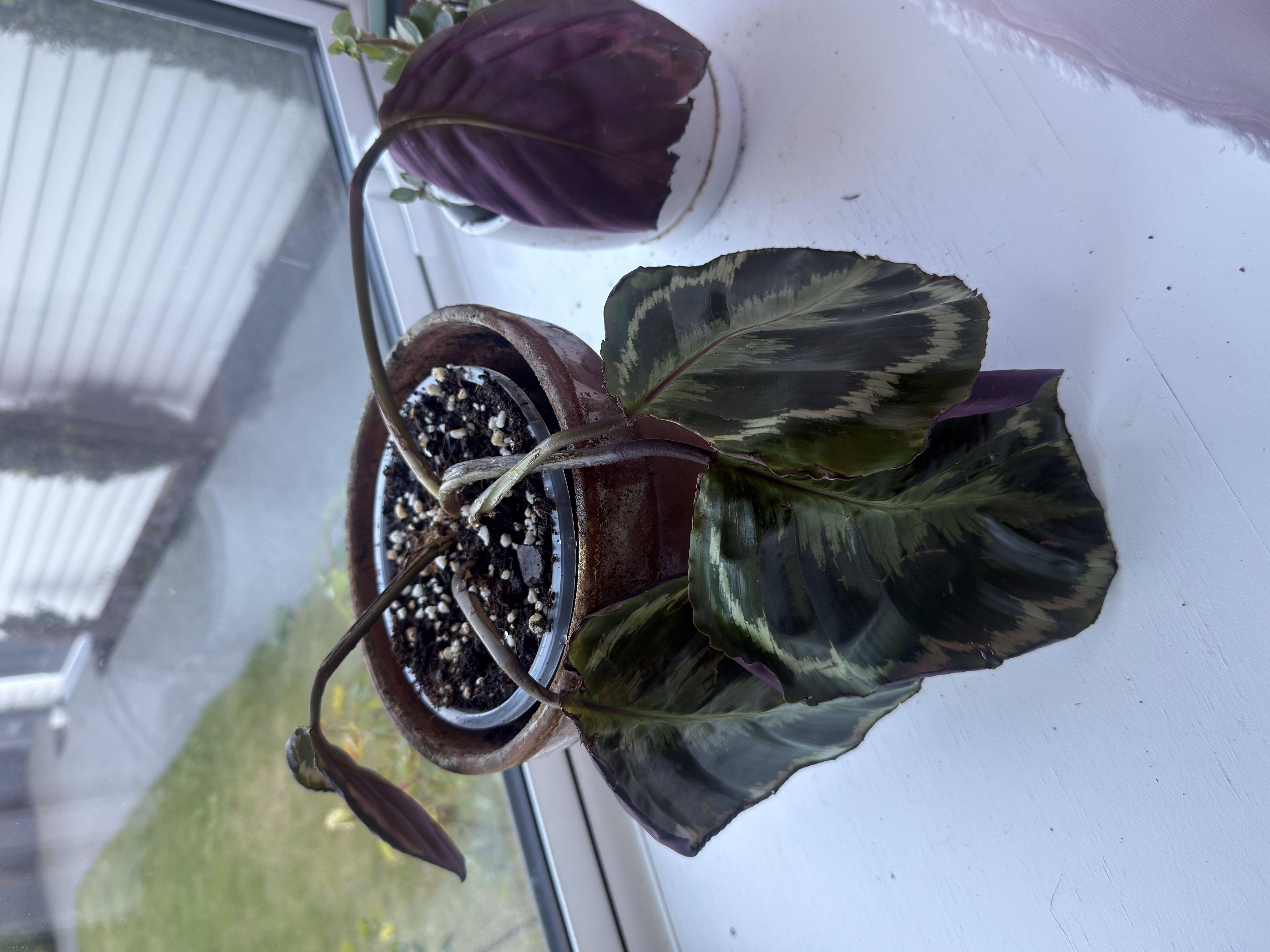 Photo from the post