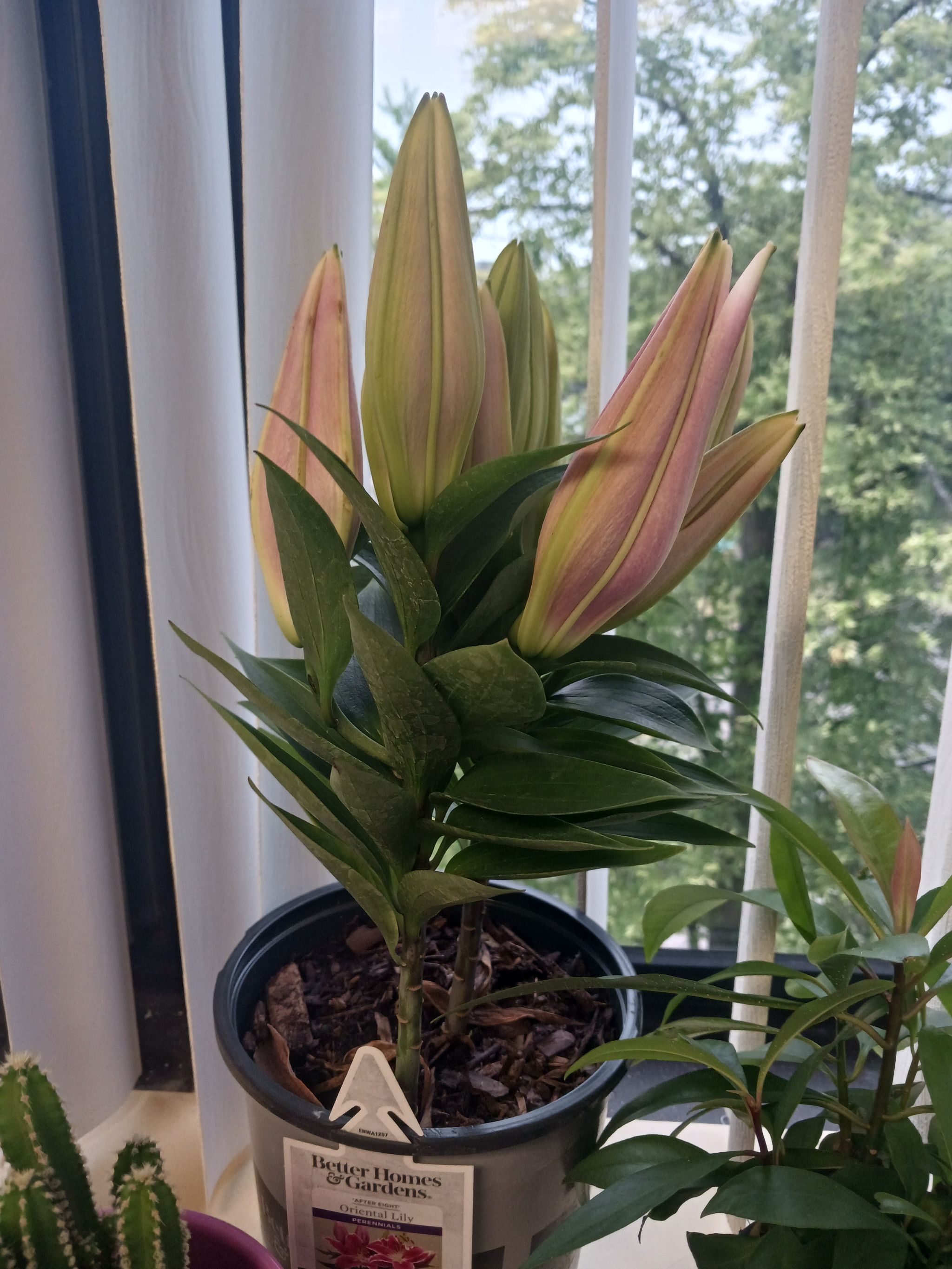 Photo from the post