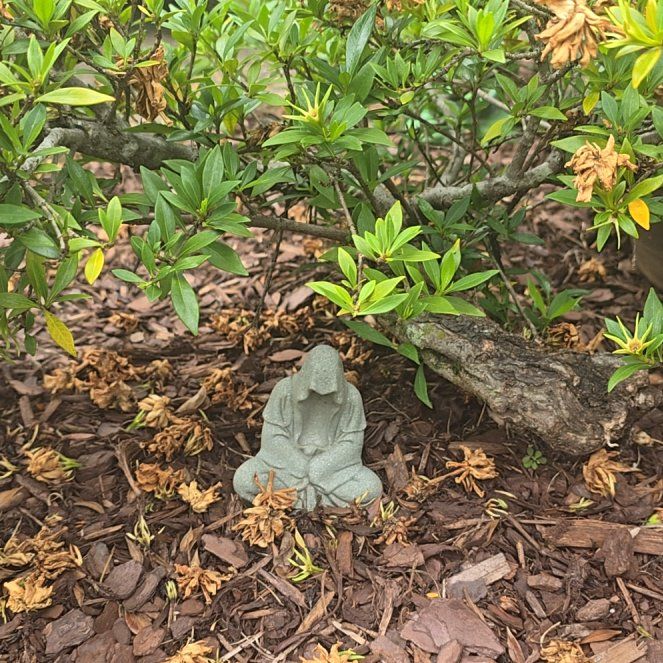 Photo of the plant species Miniature Gardenia by @GreatValueThor named Meiso on Greg, the plant care app