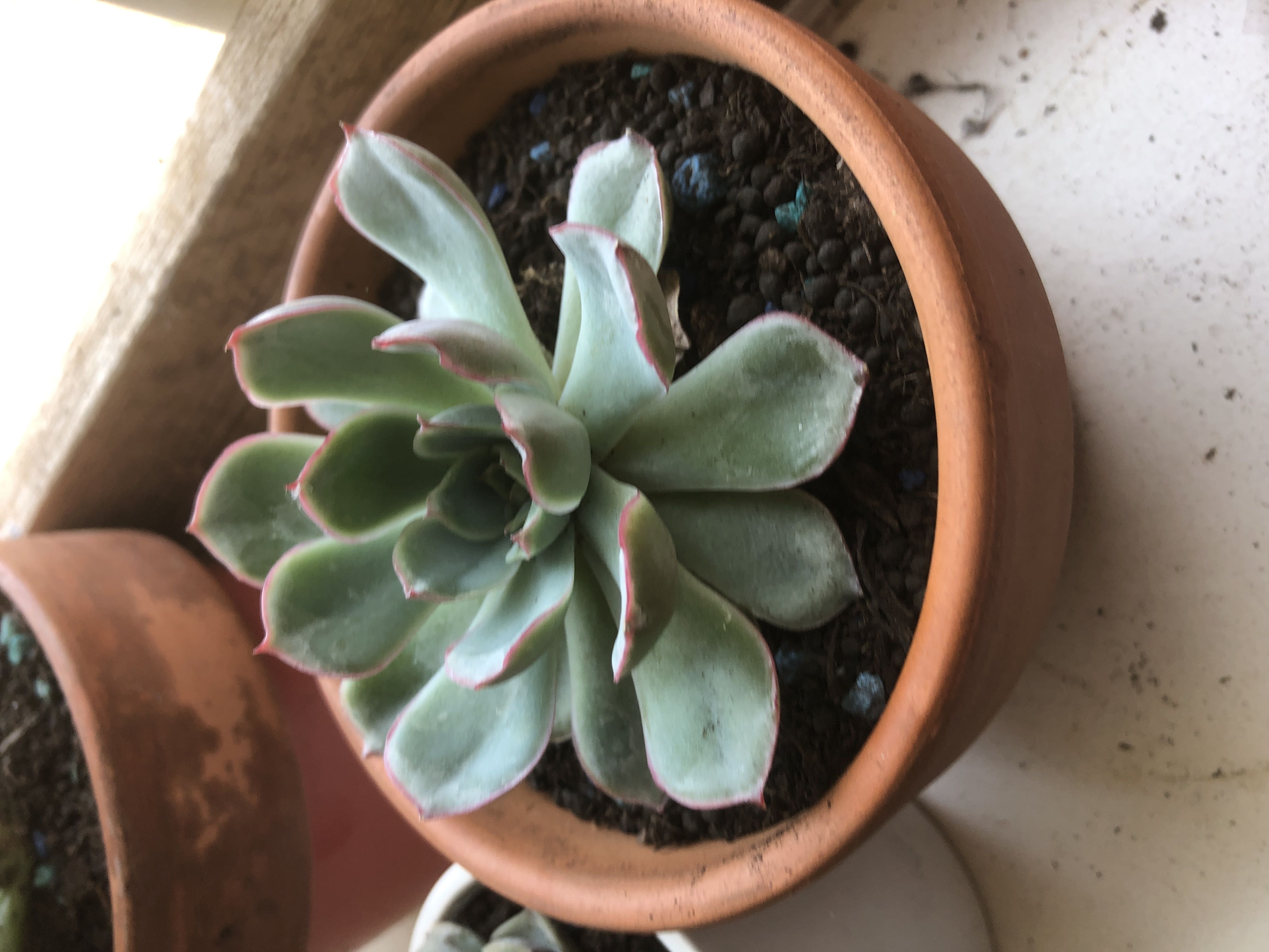 Photo from the post