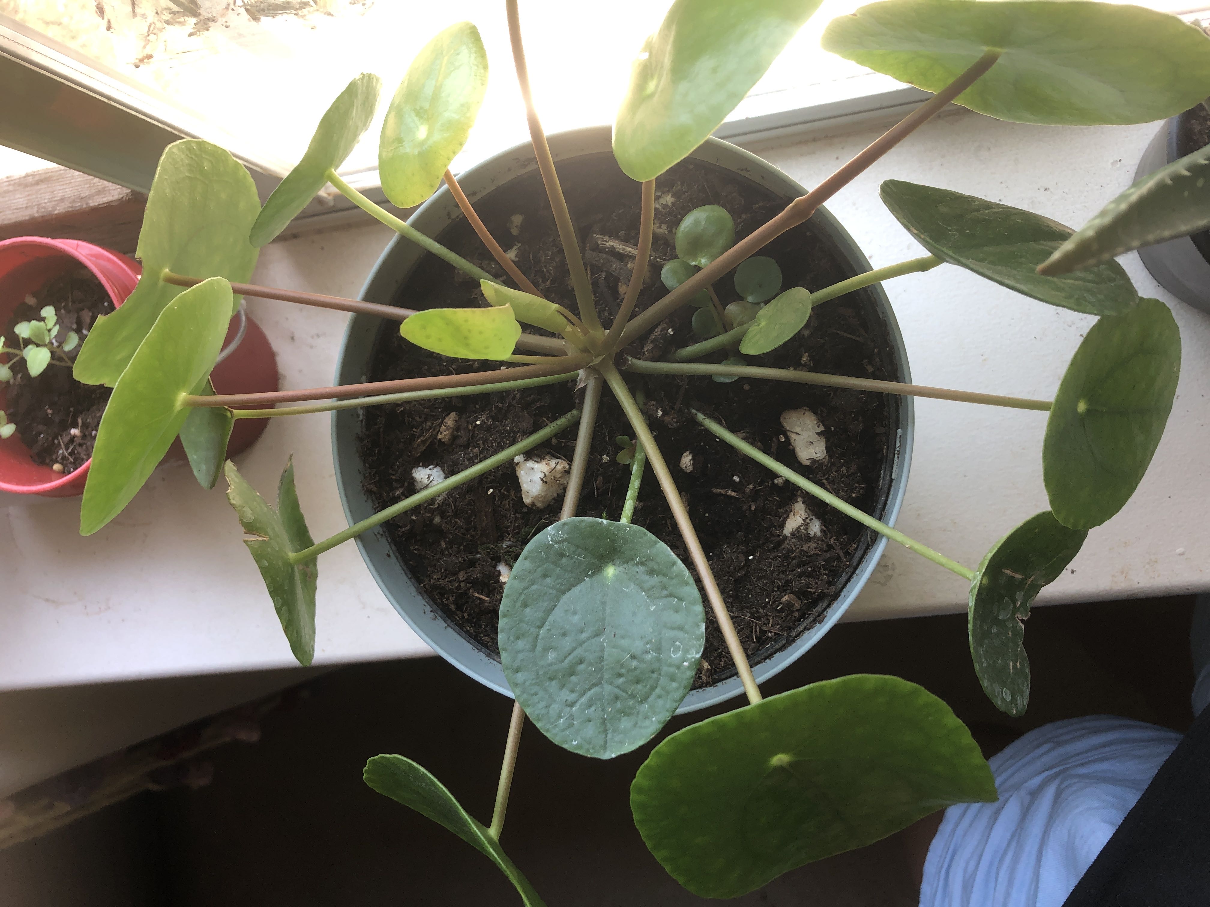 Photo from the post