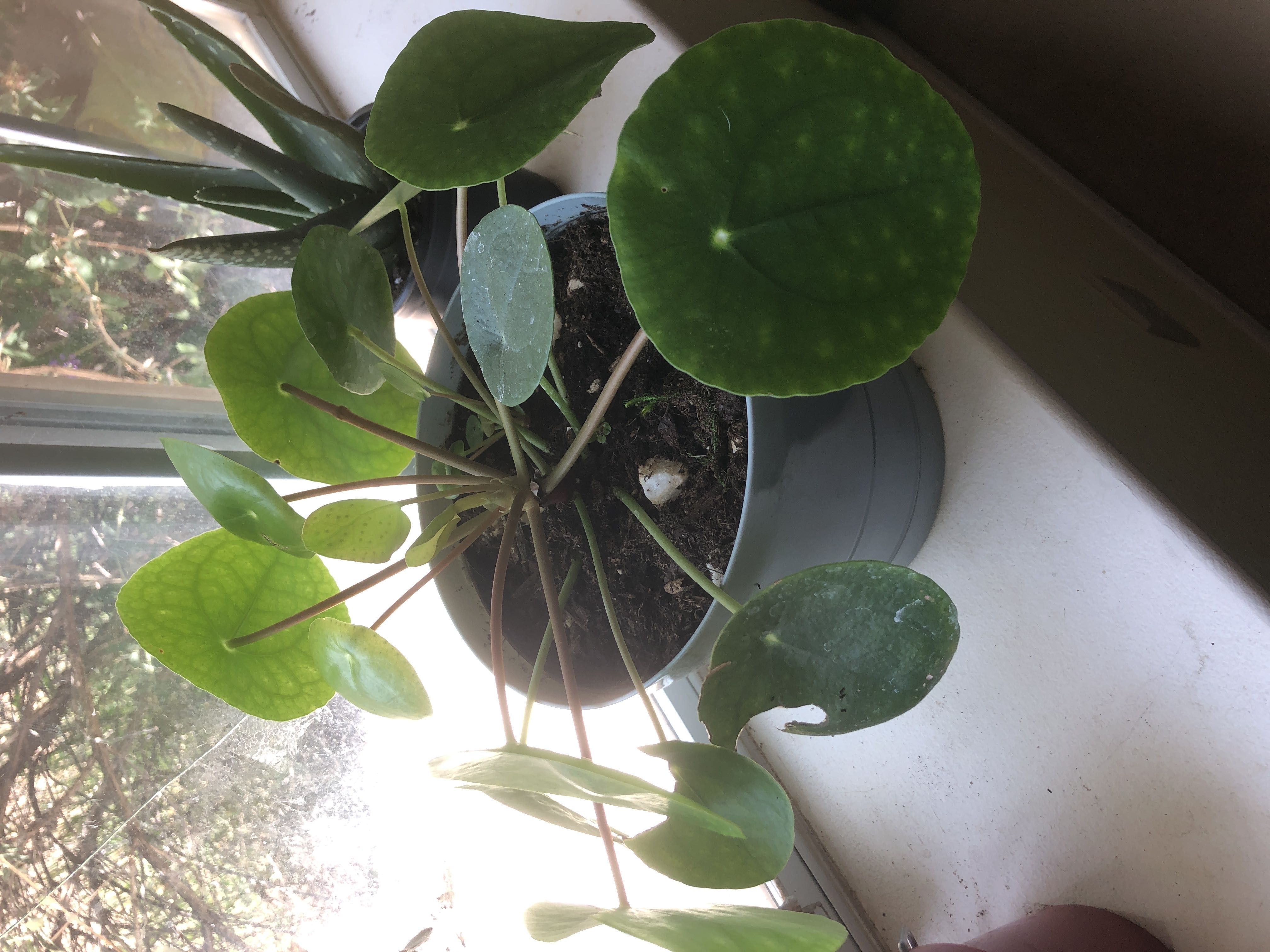 Photo from the post