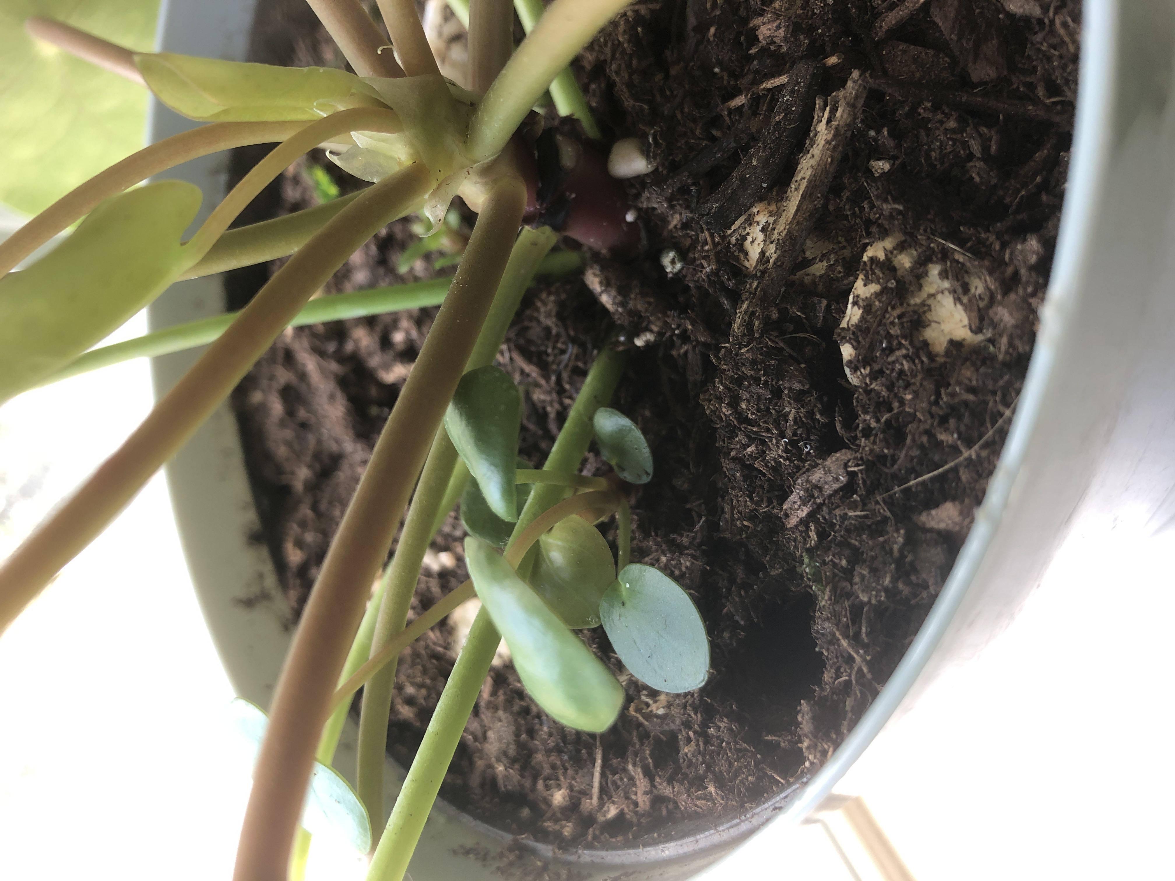 Photo from the post