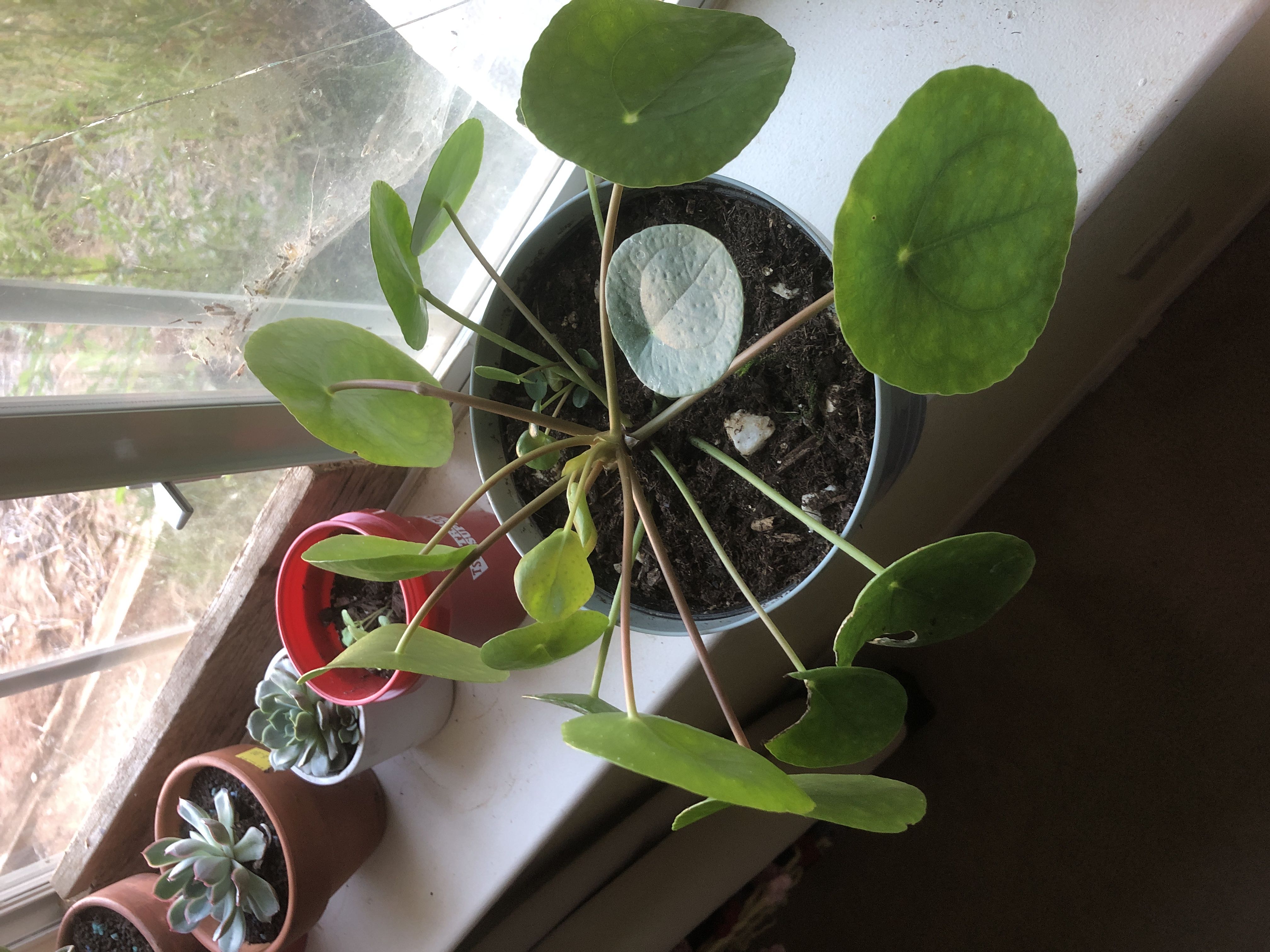 Photo from the post