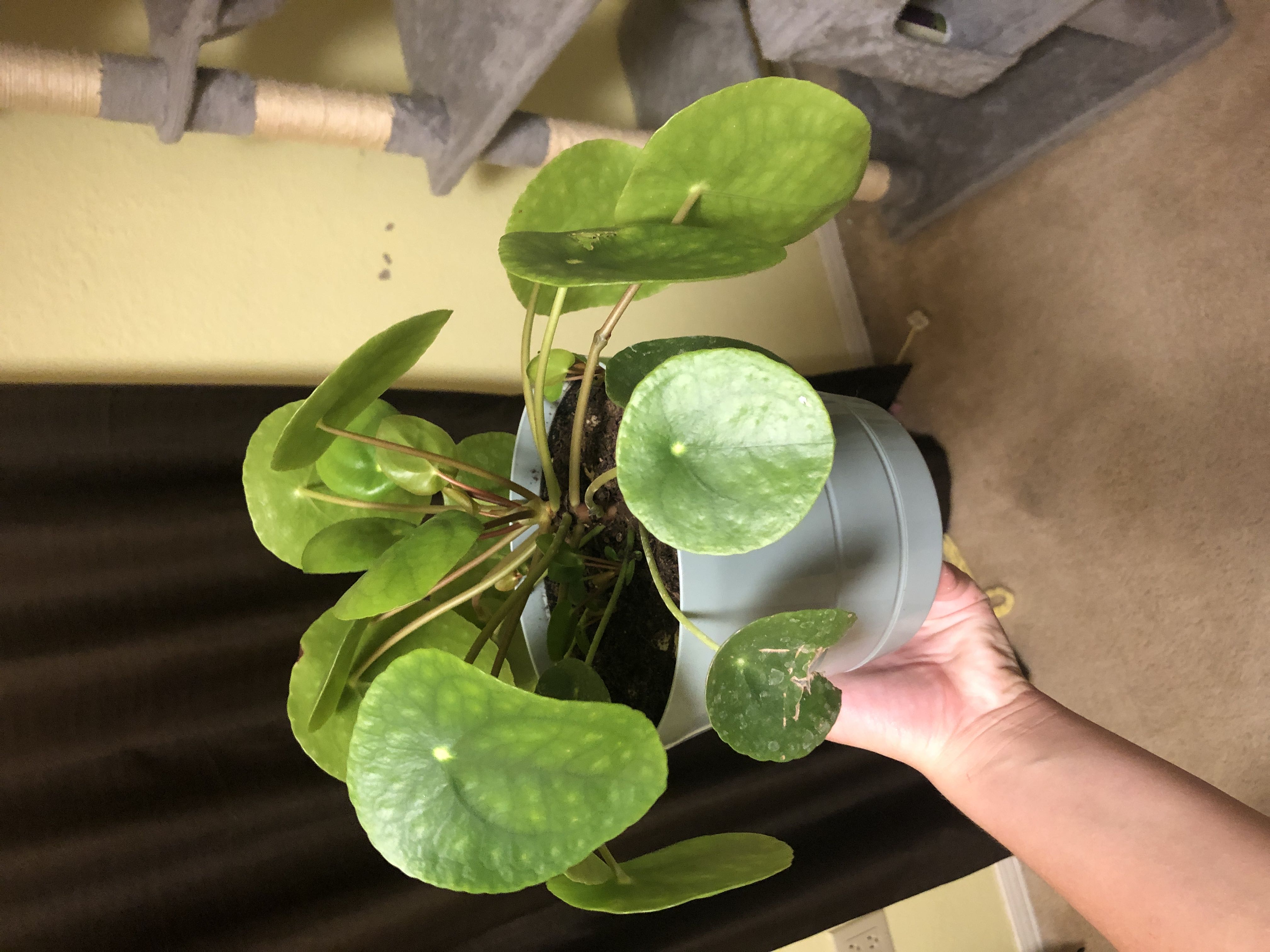 Photo from the post