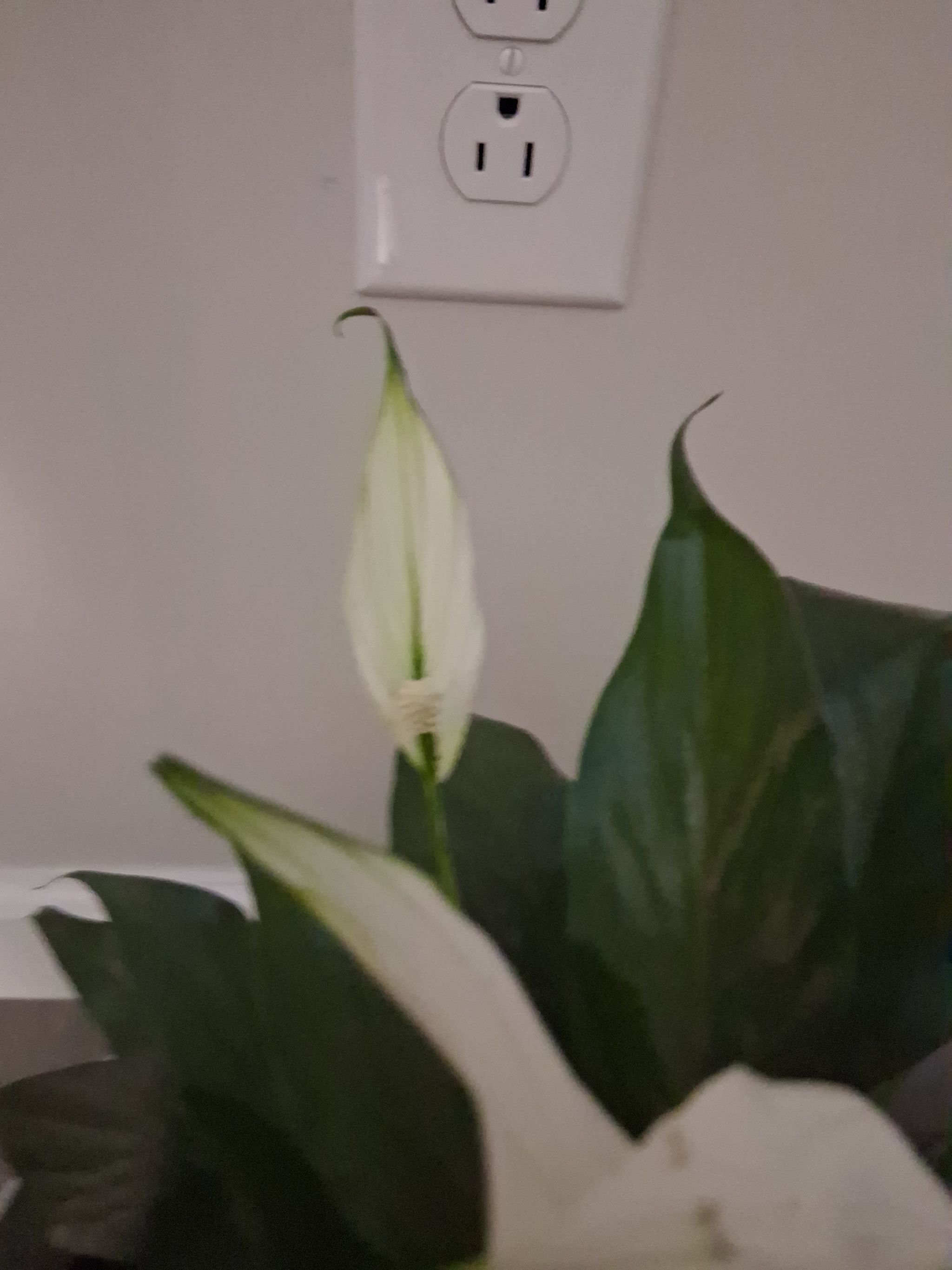 Photo from the post