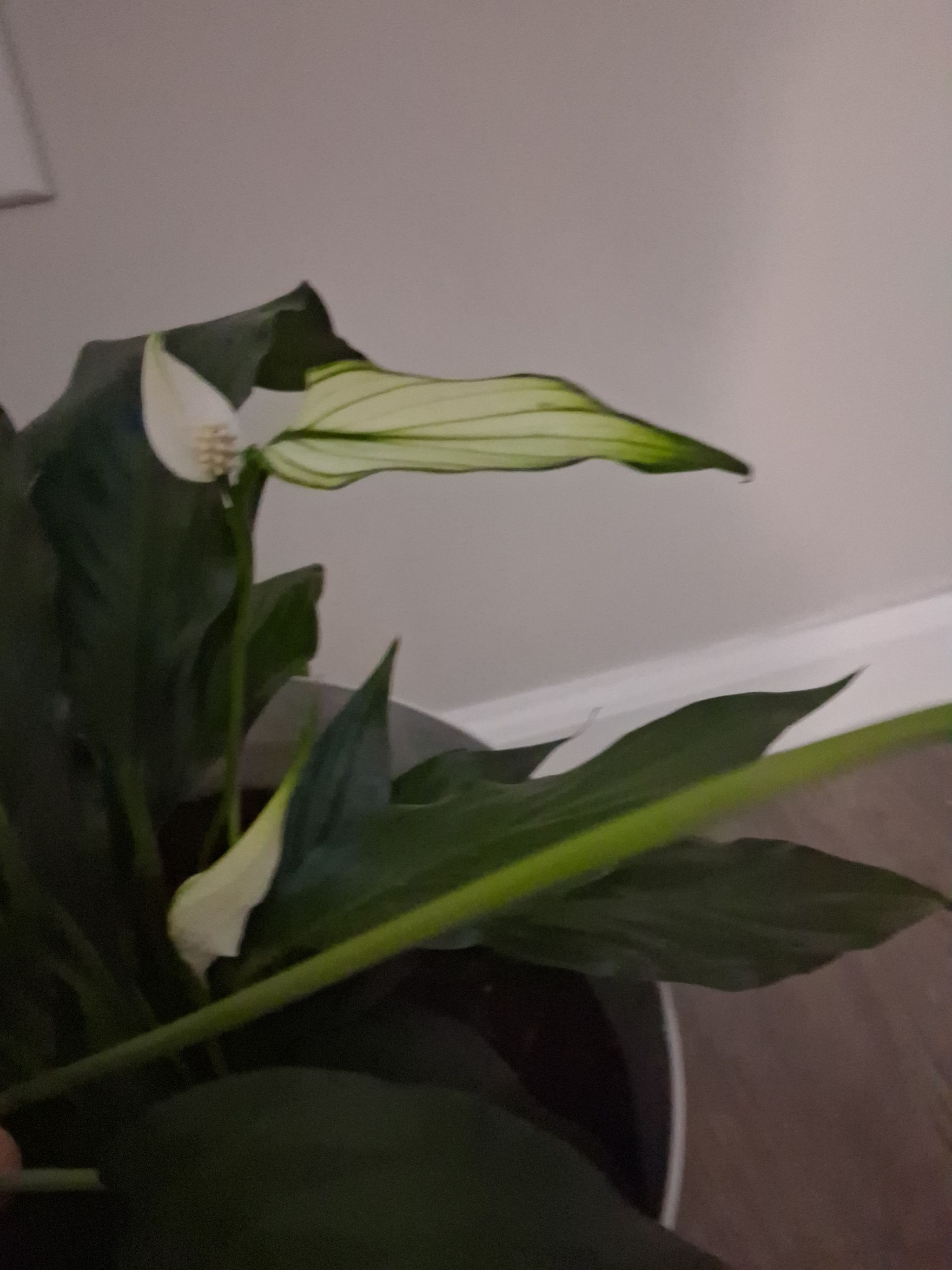 Photo from the post