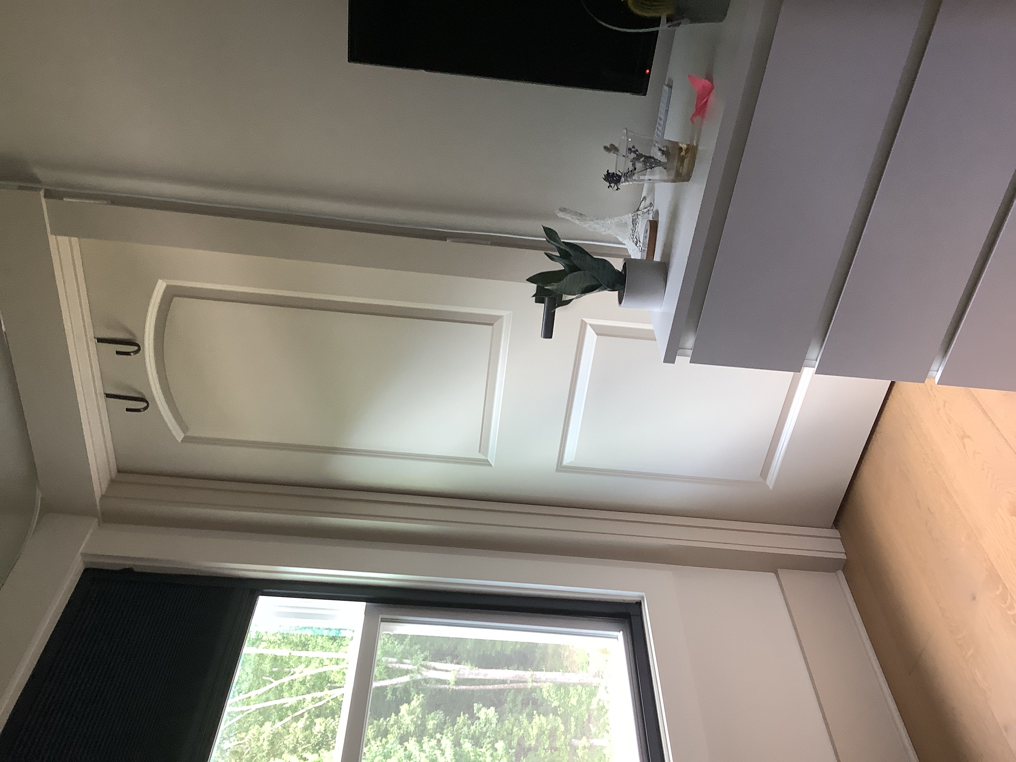 Photo from the post