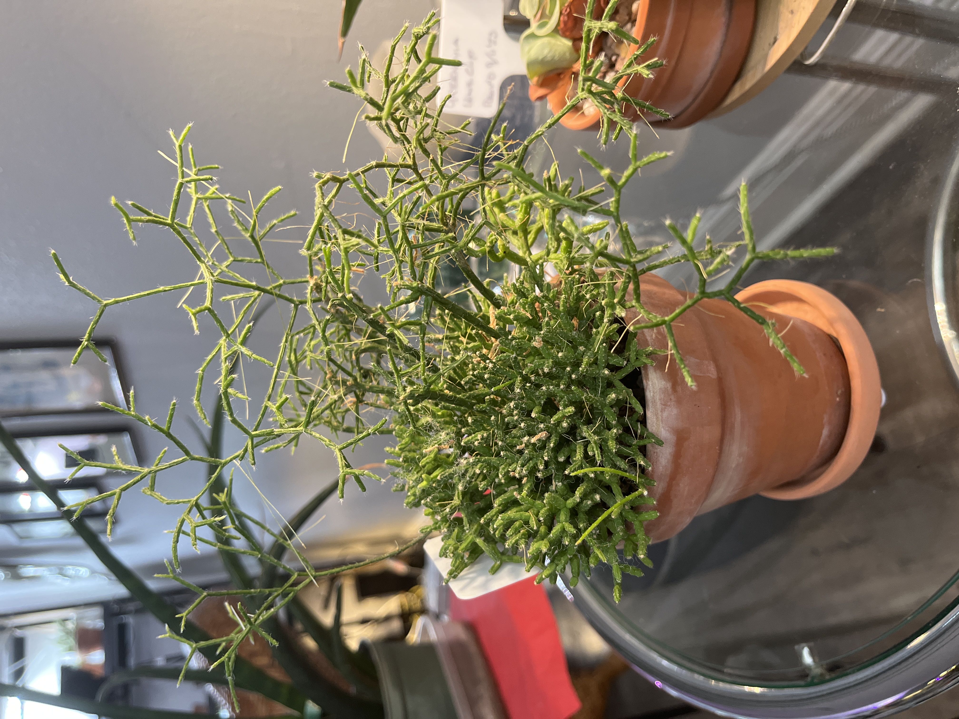 Photo from the post