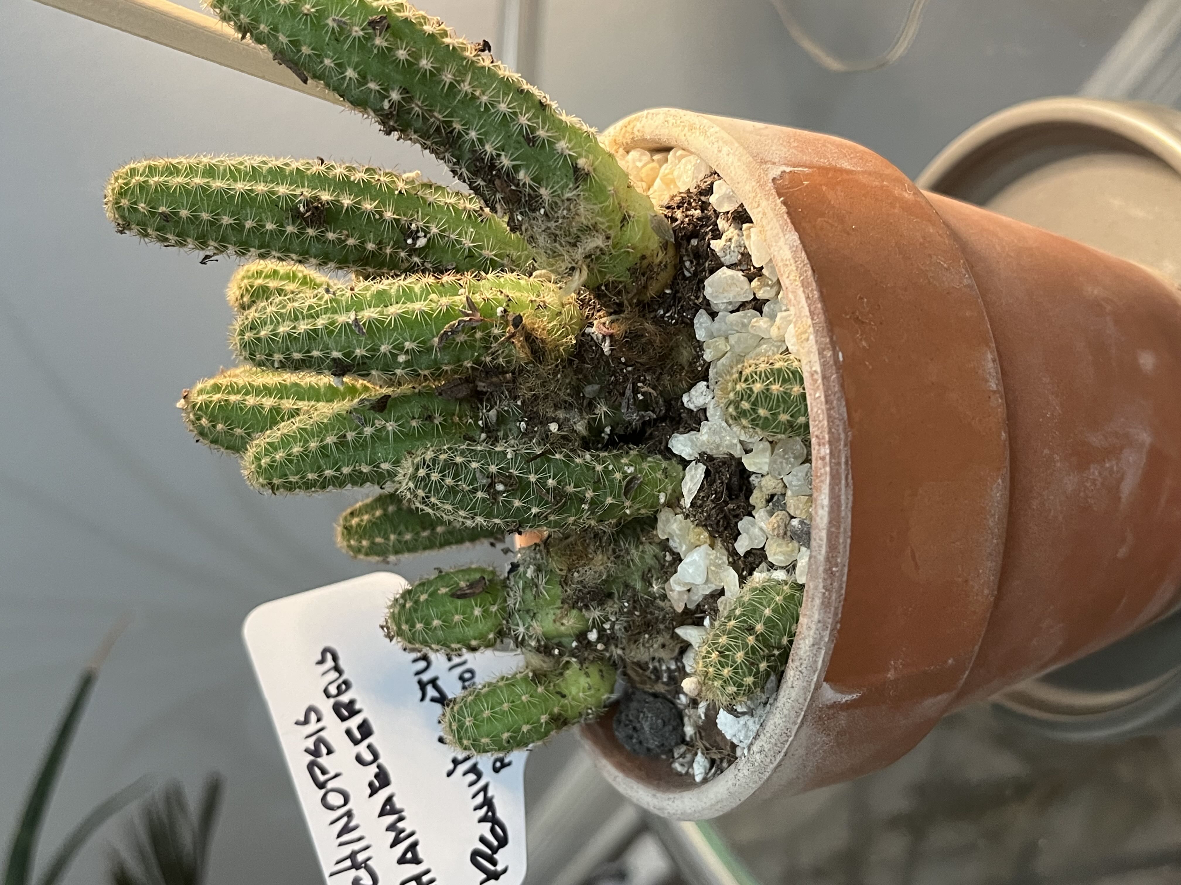 Photo from the post