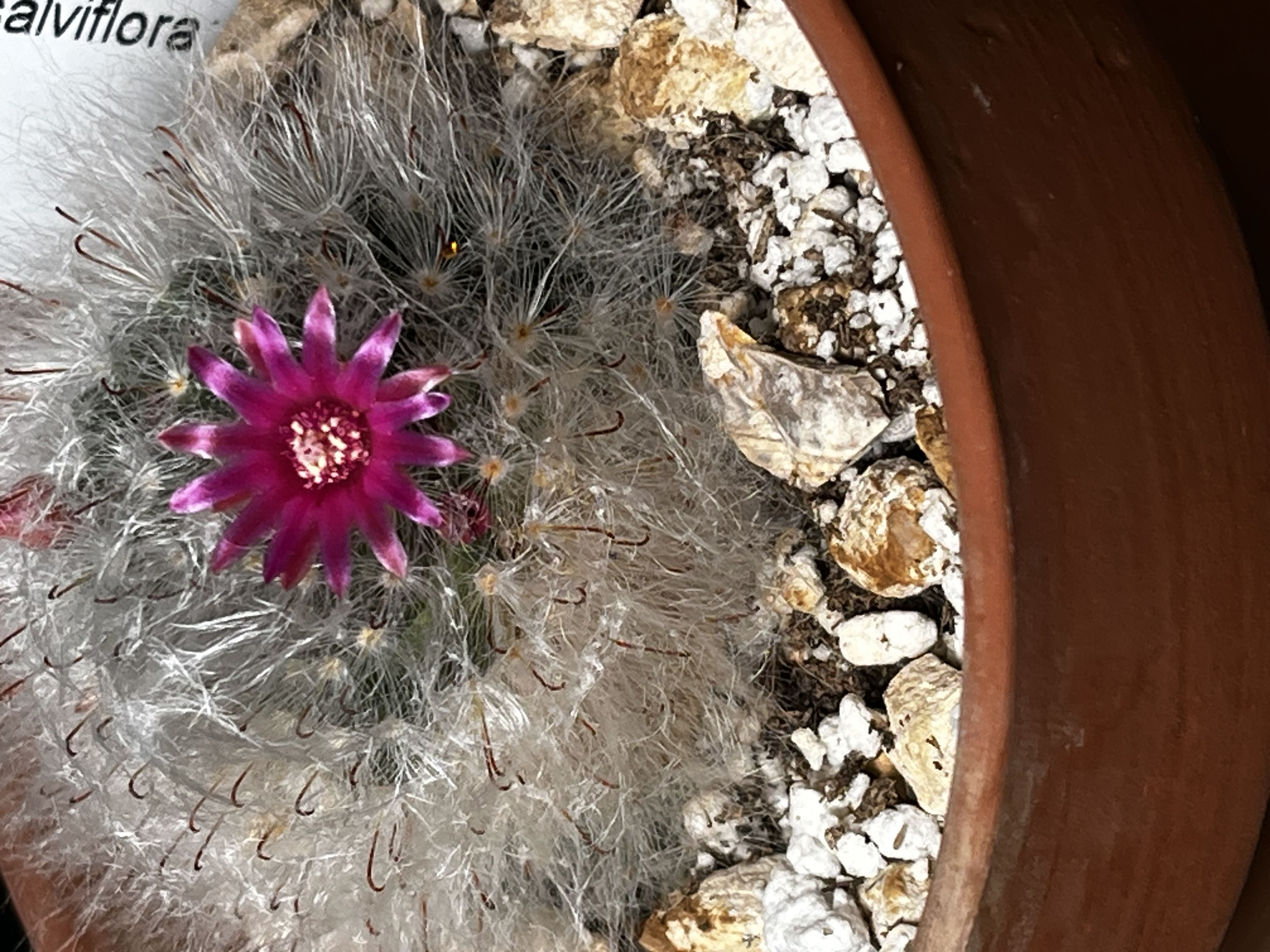 Photo from the post
